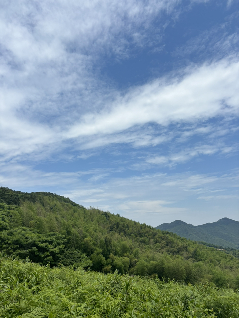 夏日的尾巴