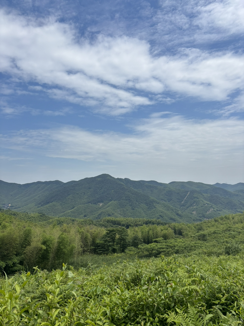 夏日的尾巴