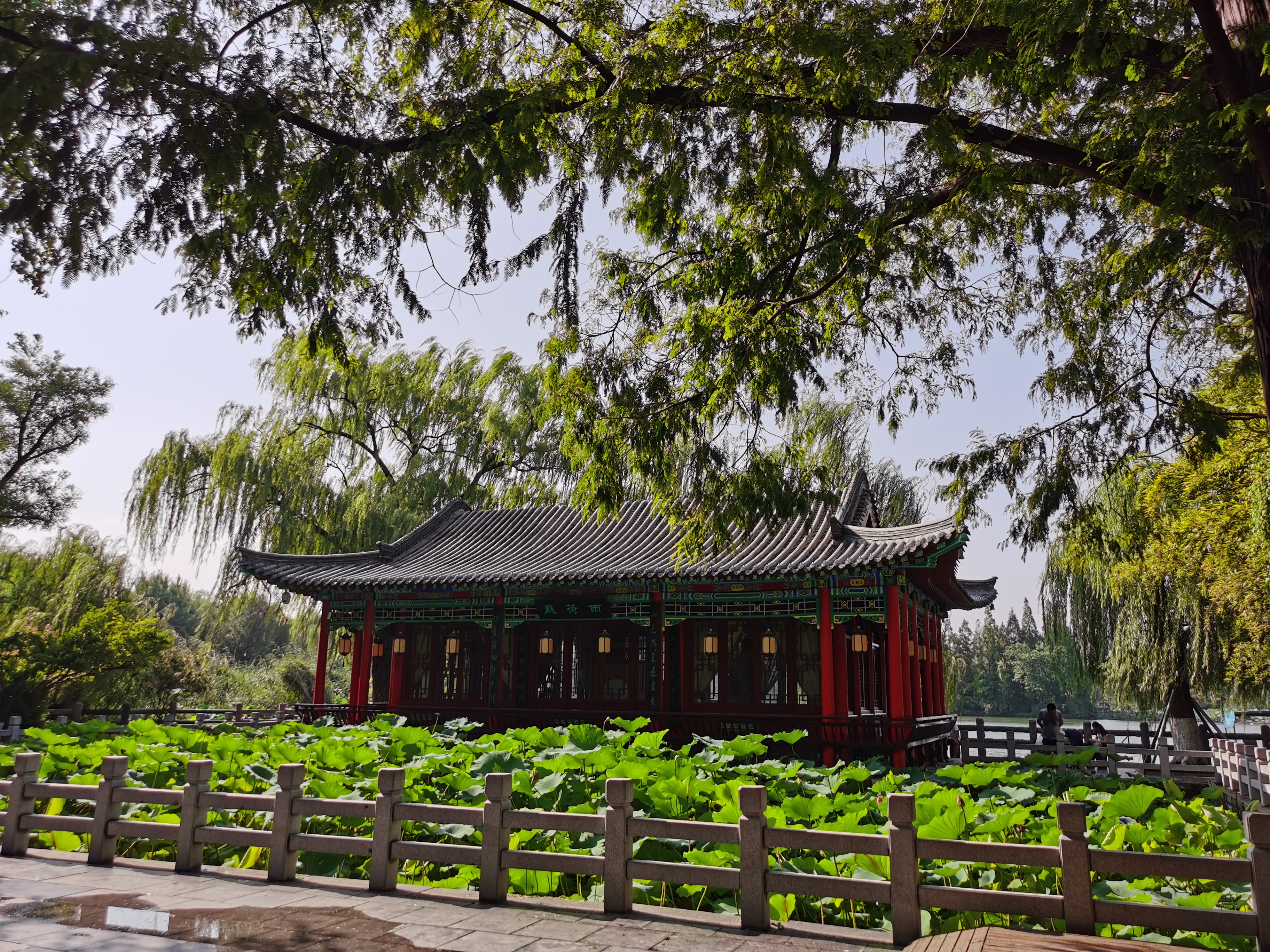 大明湖