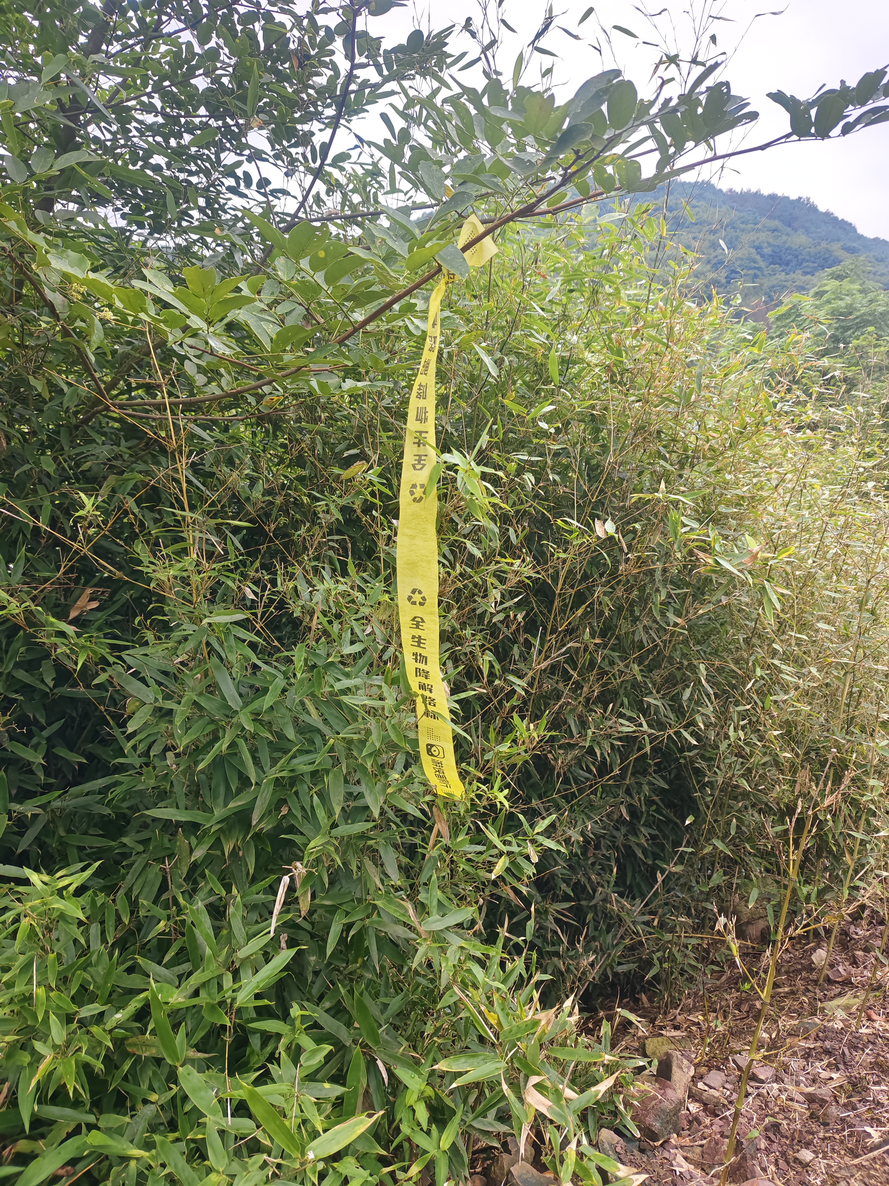 享受周末时光