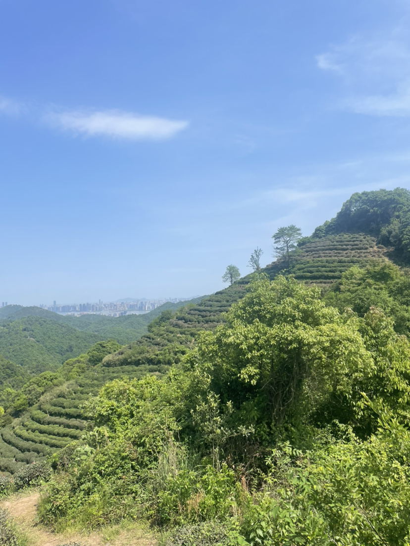 快点玩