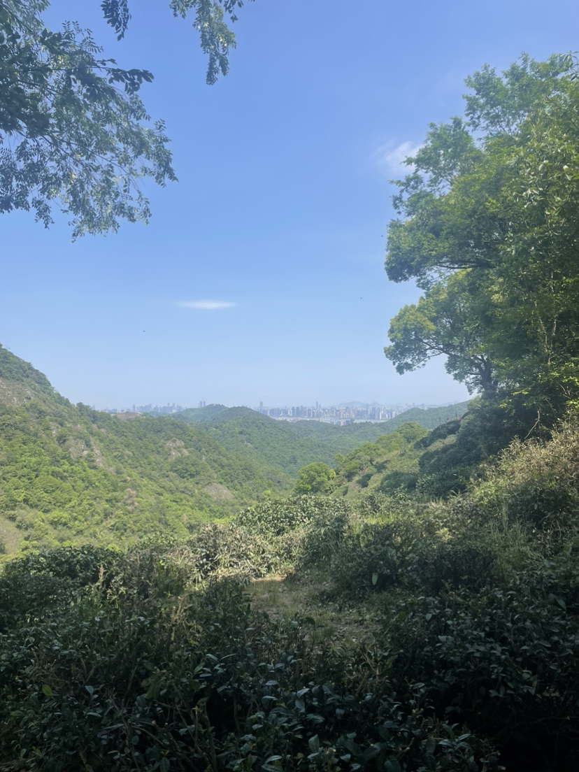 快点玩