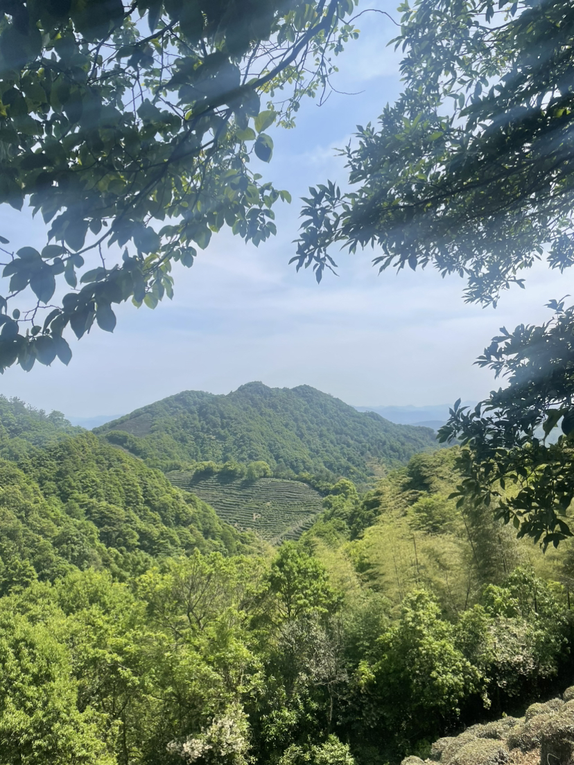 快点玩