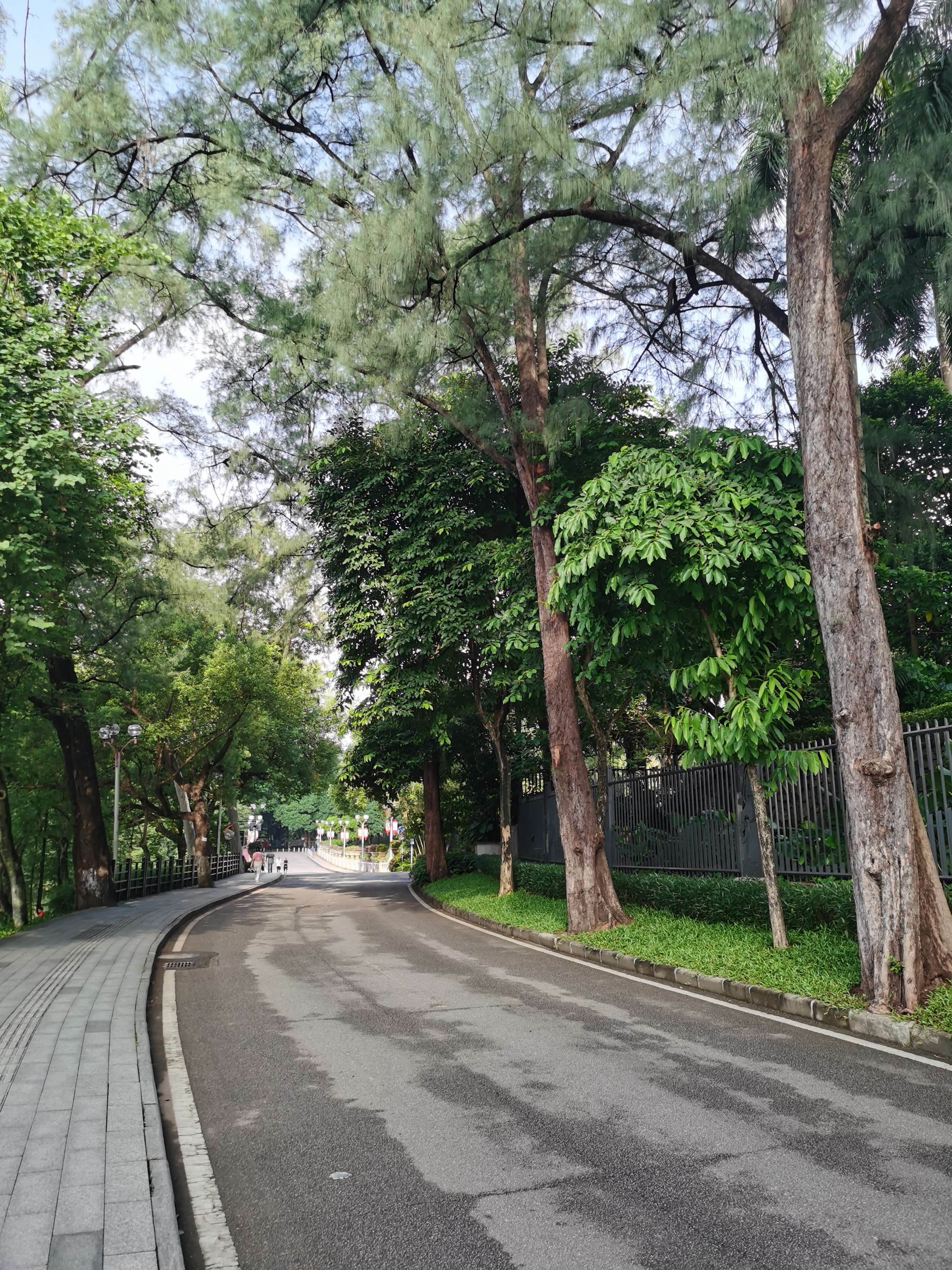 麓湖公园