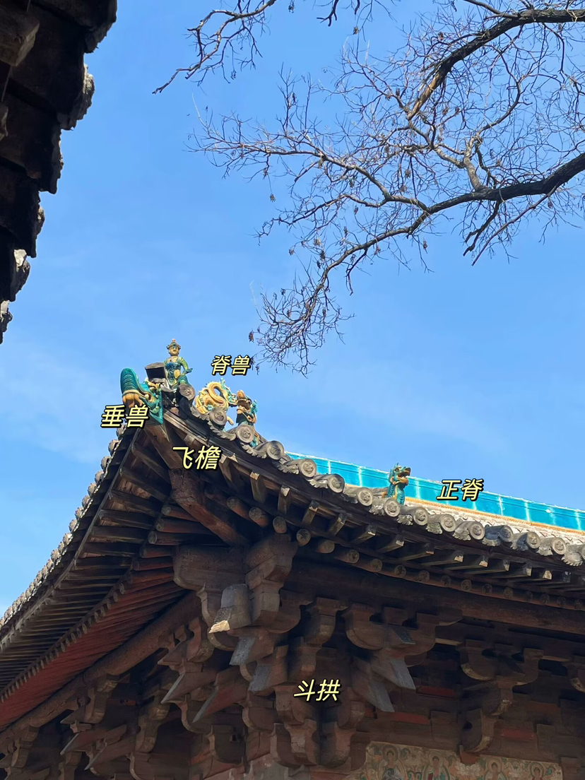 没用的常识又增加了｜镇国寺万佛殿