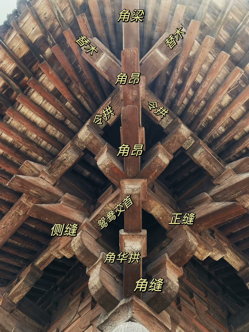 没用的常识又增加了｜镇国寺万佛殿