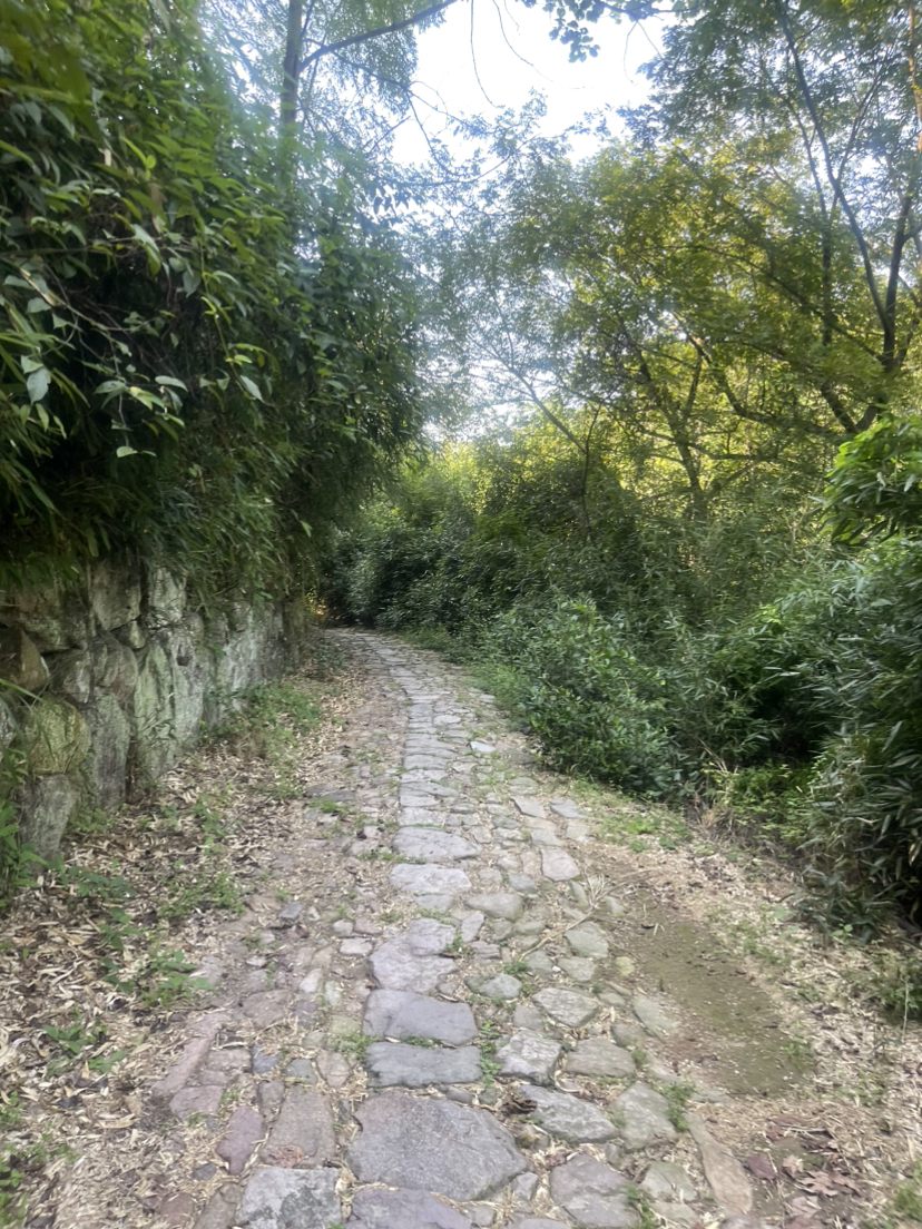 上青