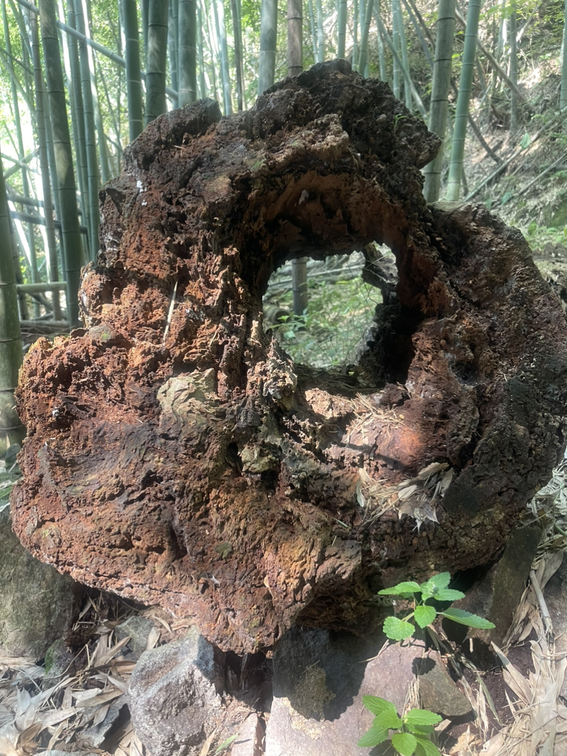 上青