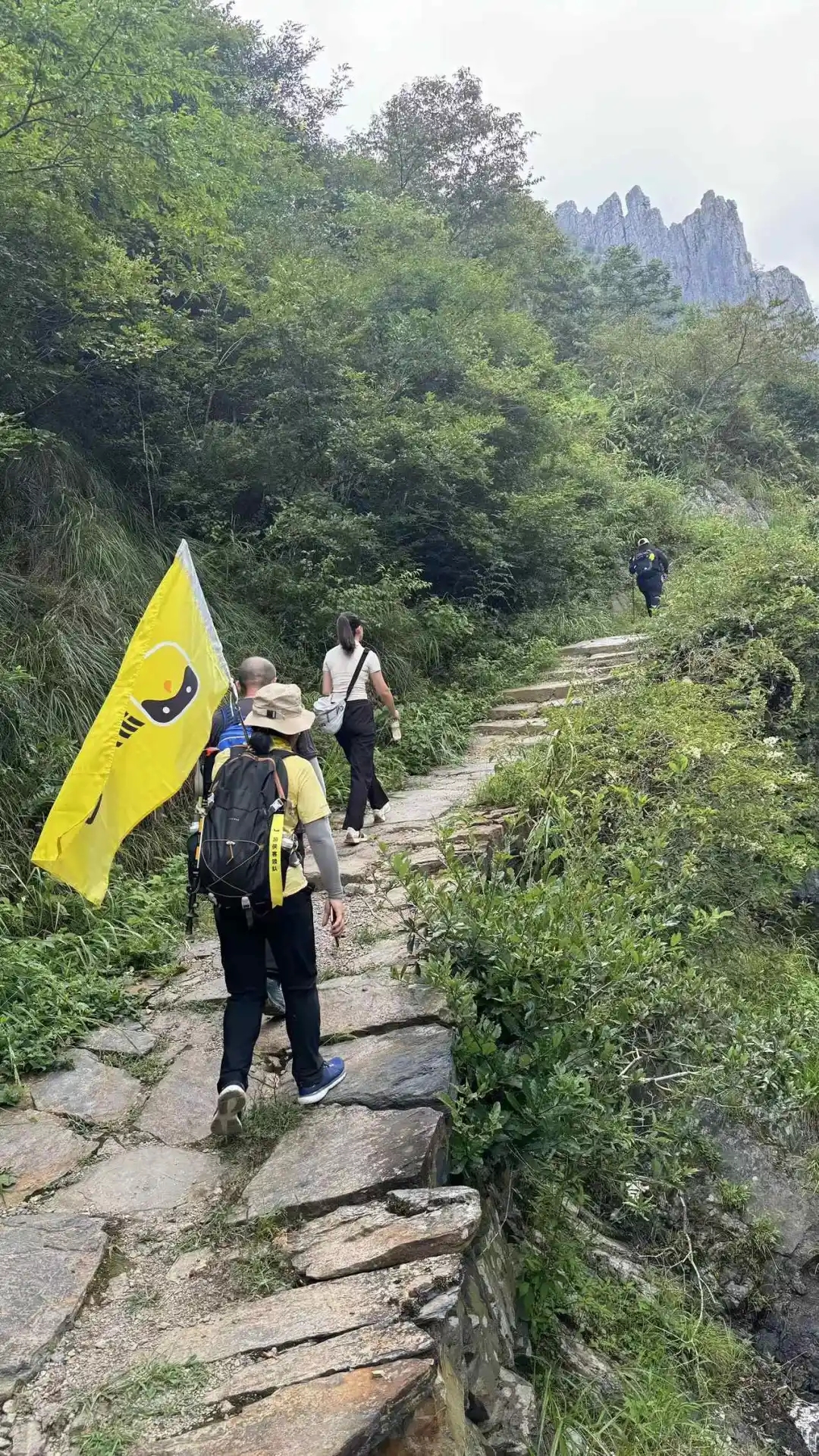 山野行-冲顶搁船尖 ‖ 顶峰相见,相看两不厌