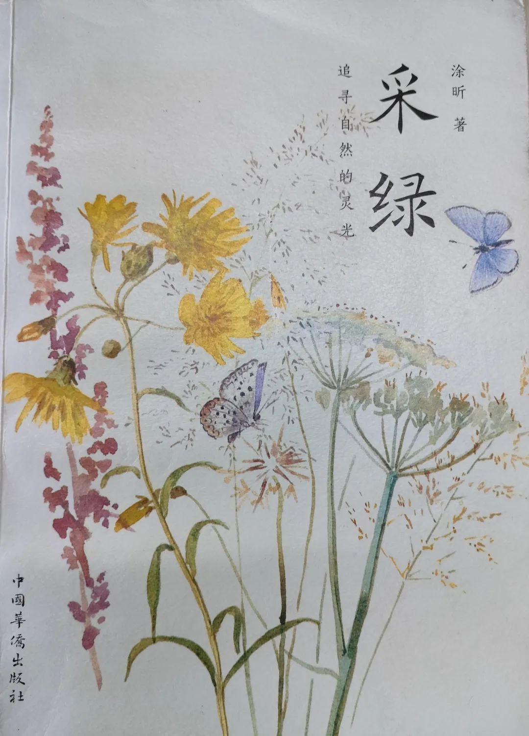 山野行-冲顶搁船尖 ‖ 顶峰相见,相看两不厌