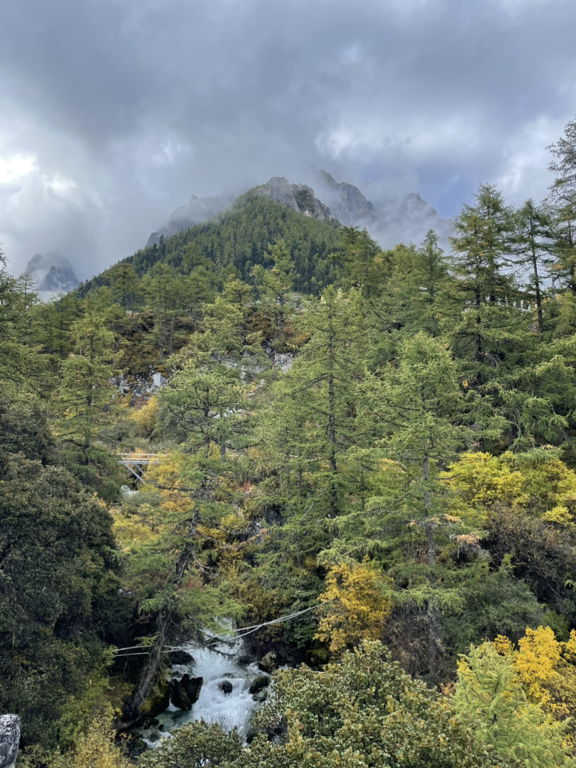游戏人间