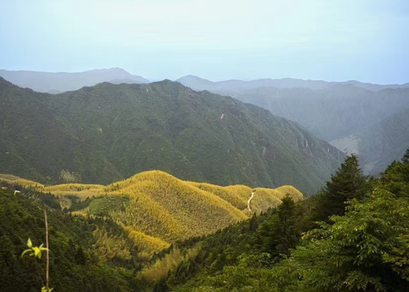 括苍山游玩