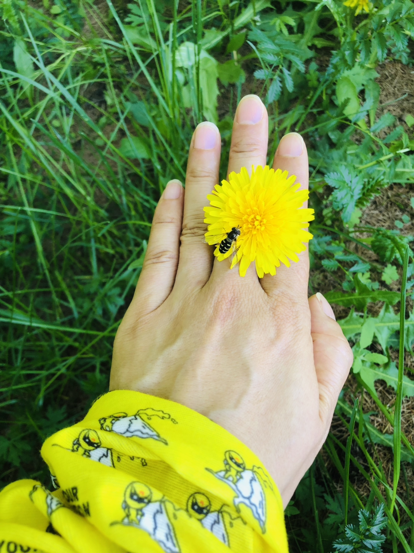 绝美的花色
