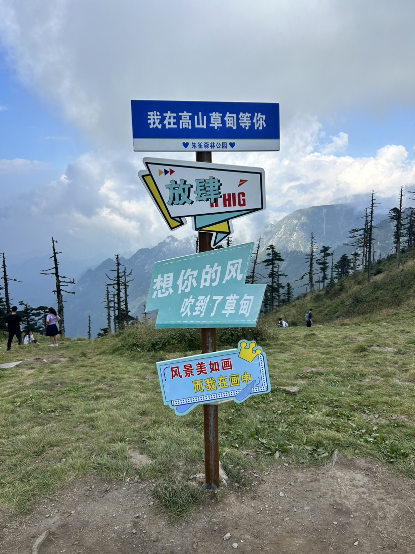 光鹿跑兵冰 全程 单日 反穿