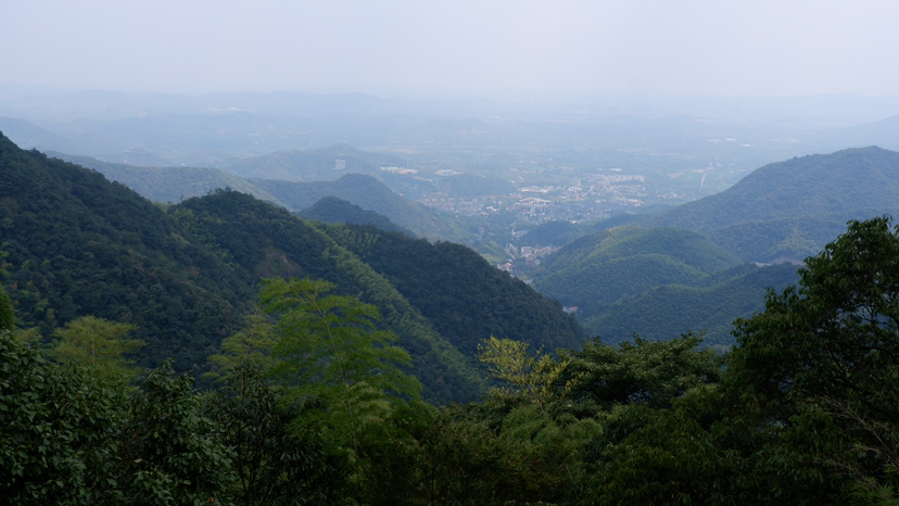 一年可以来几次莫干山？想来几次就几次咯