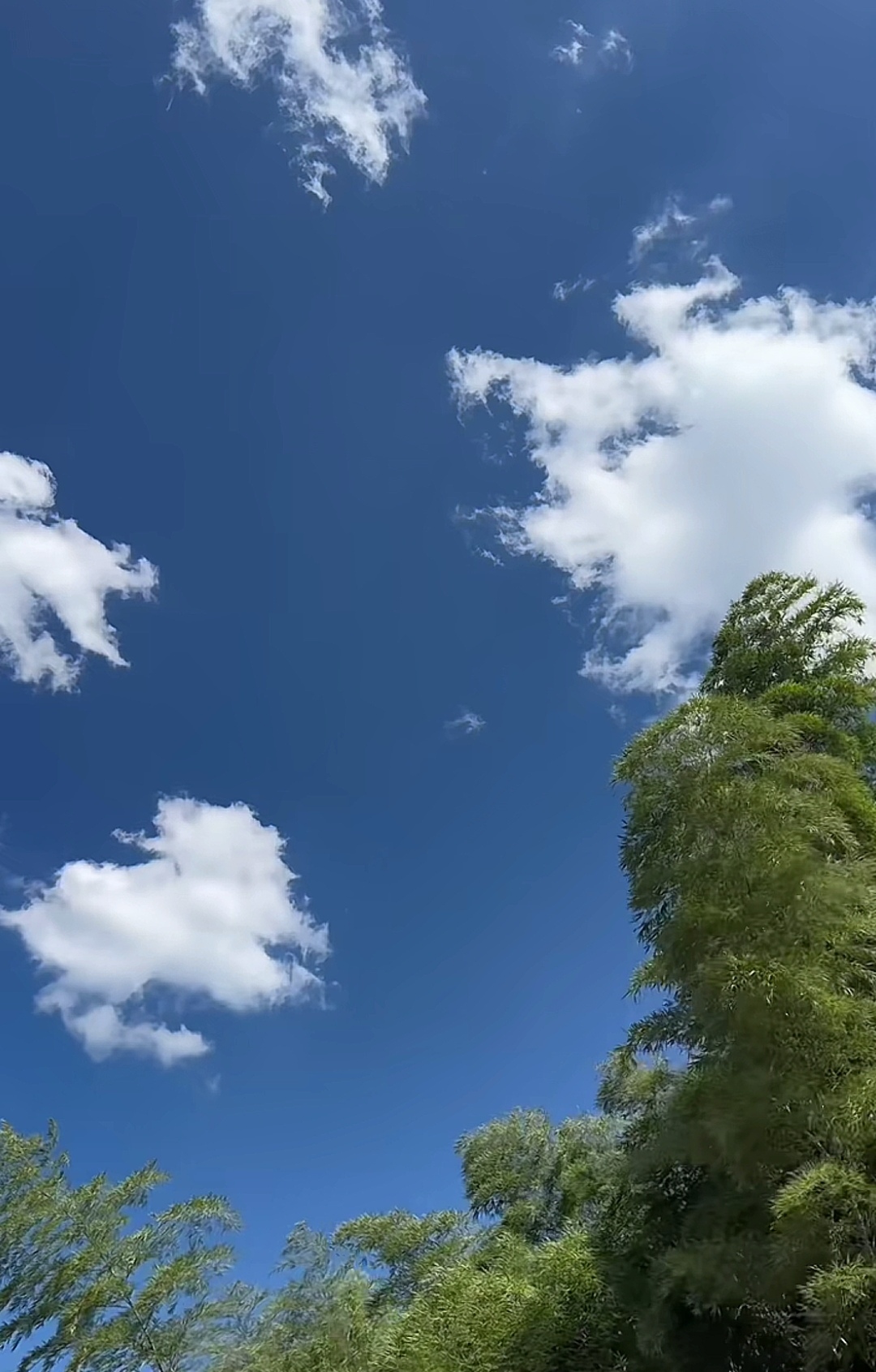 山水涧