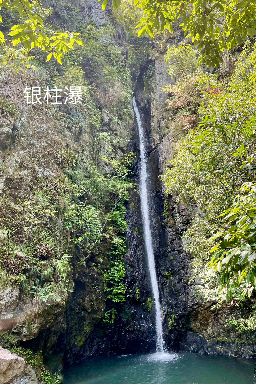 菖蒲谷