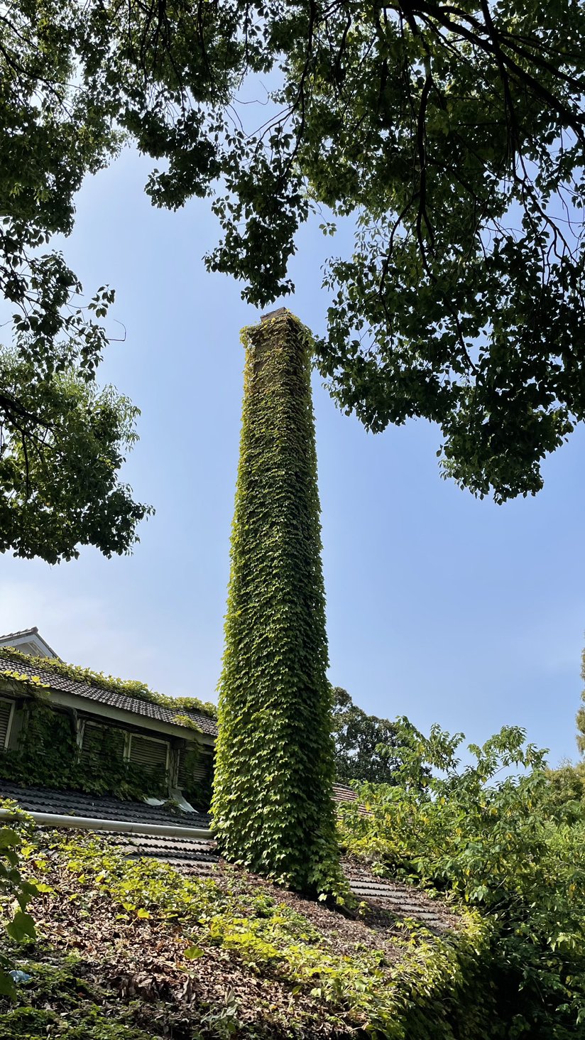 这是什么呢
