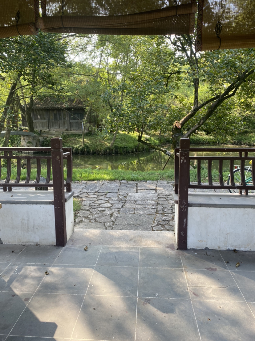 西溪湿地0906