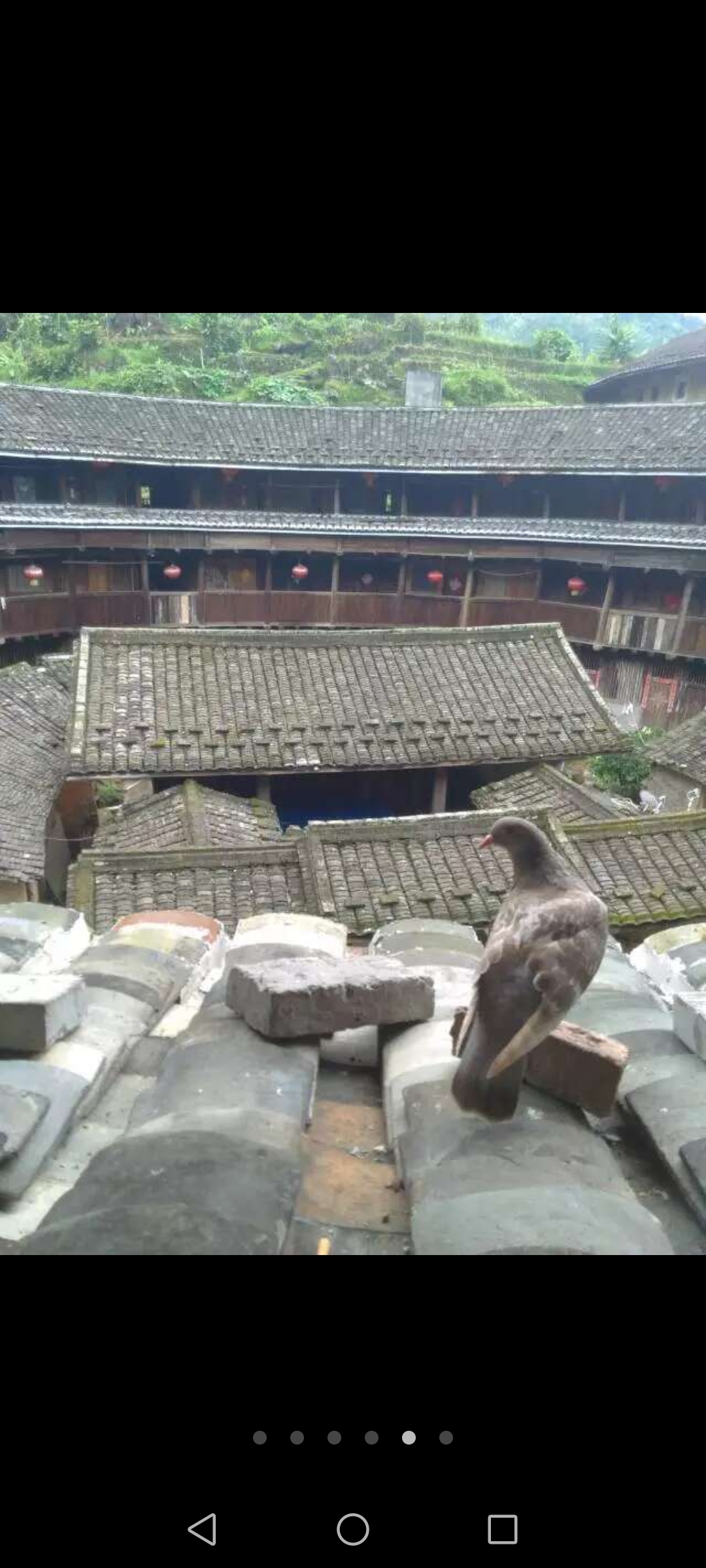 土楼