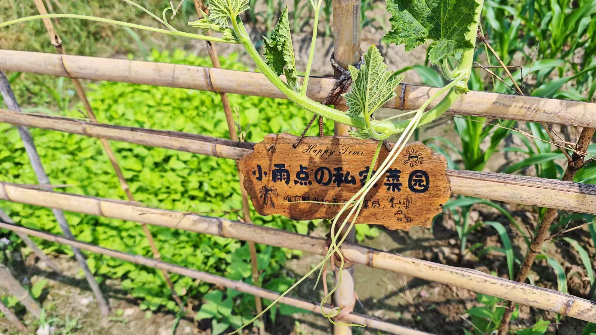 湘湖