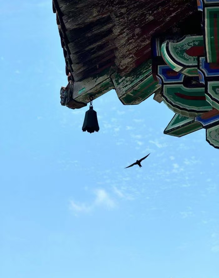 鹳雀楼游玩