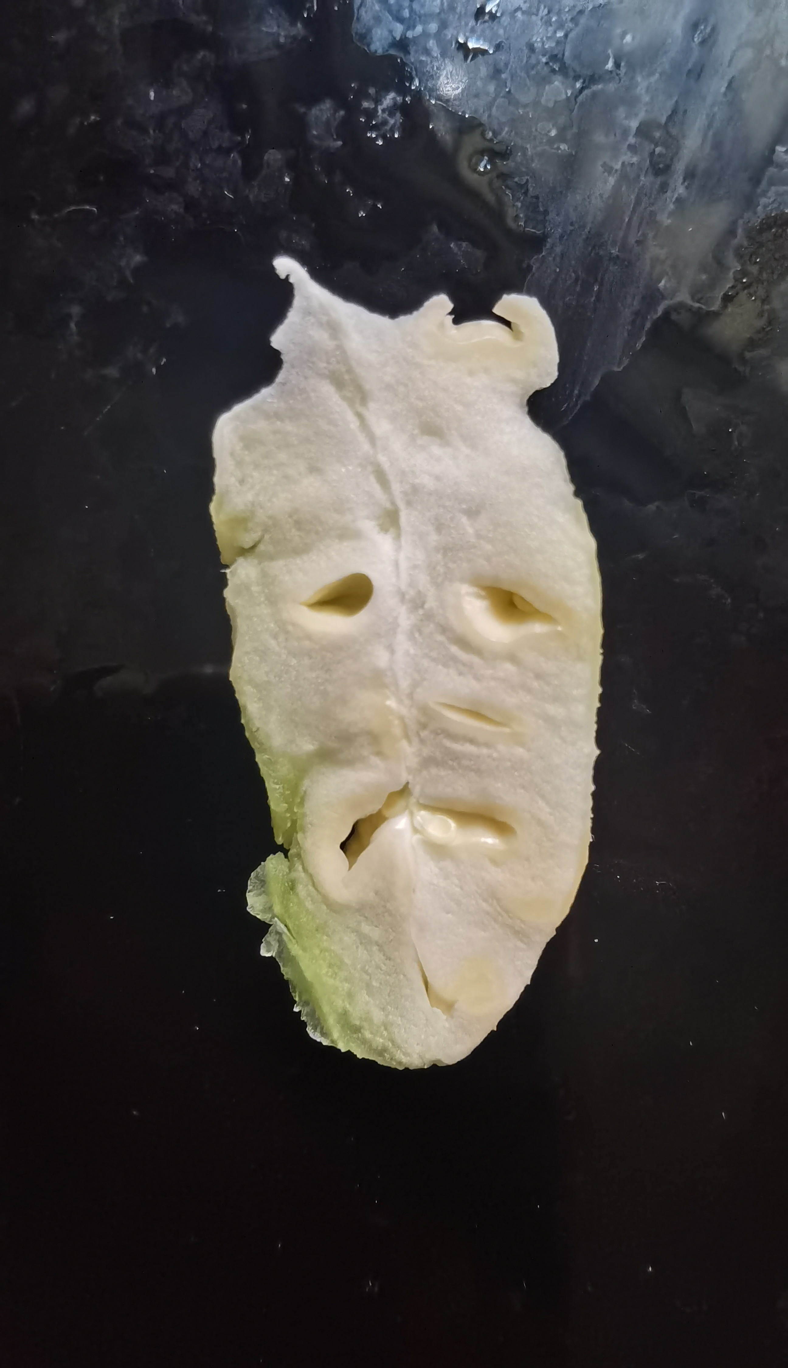 生活碎片