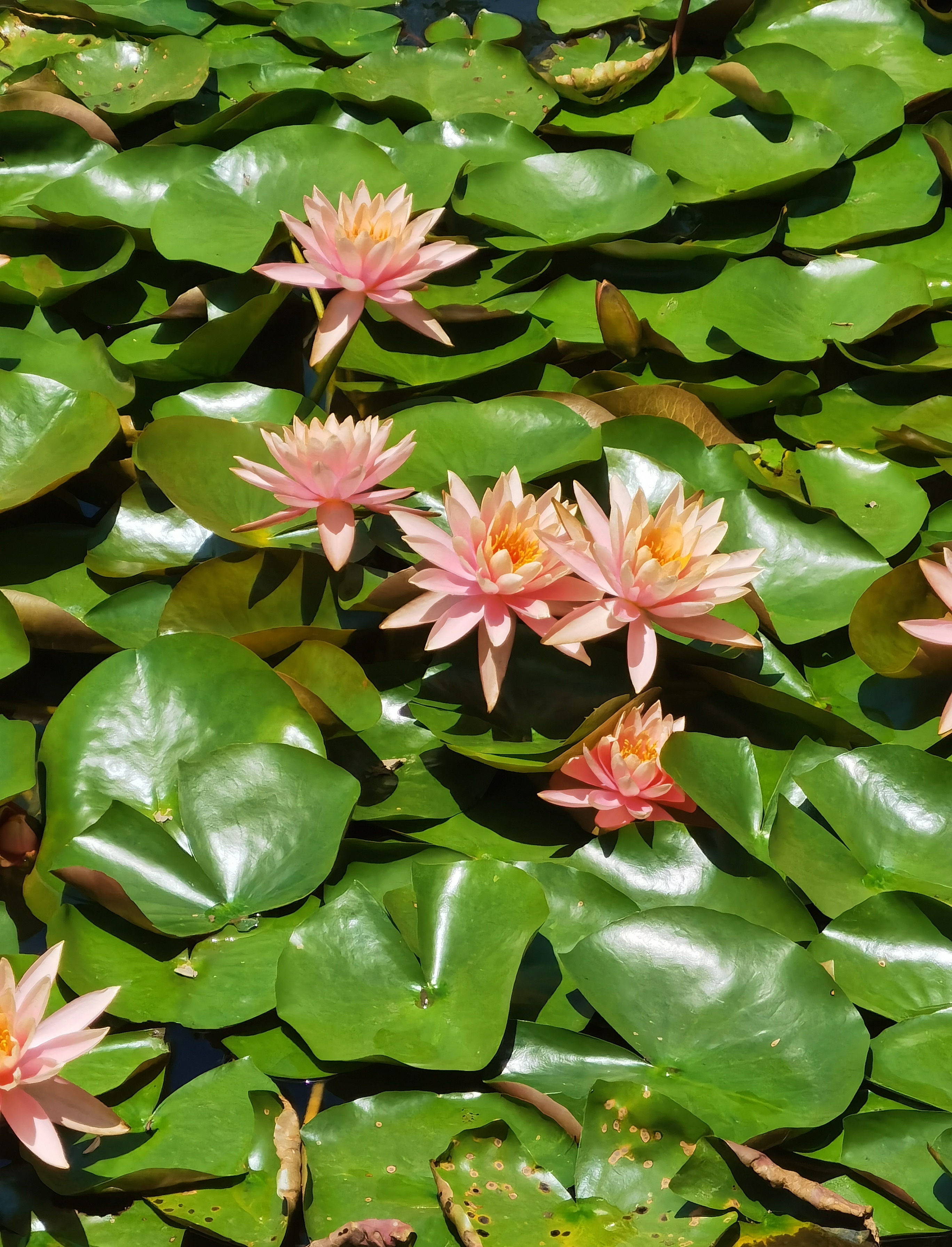 生活碎片