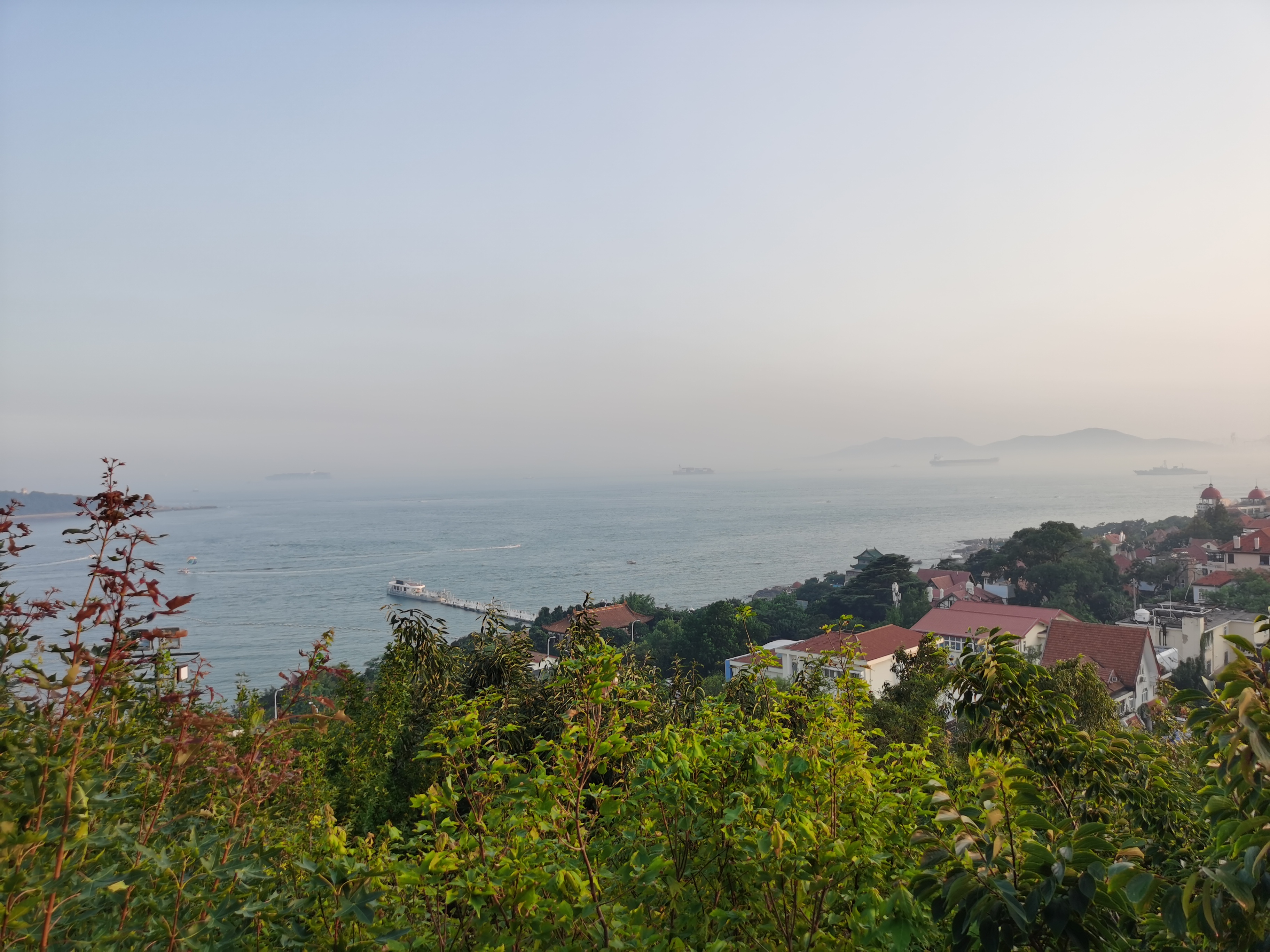 青岛
