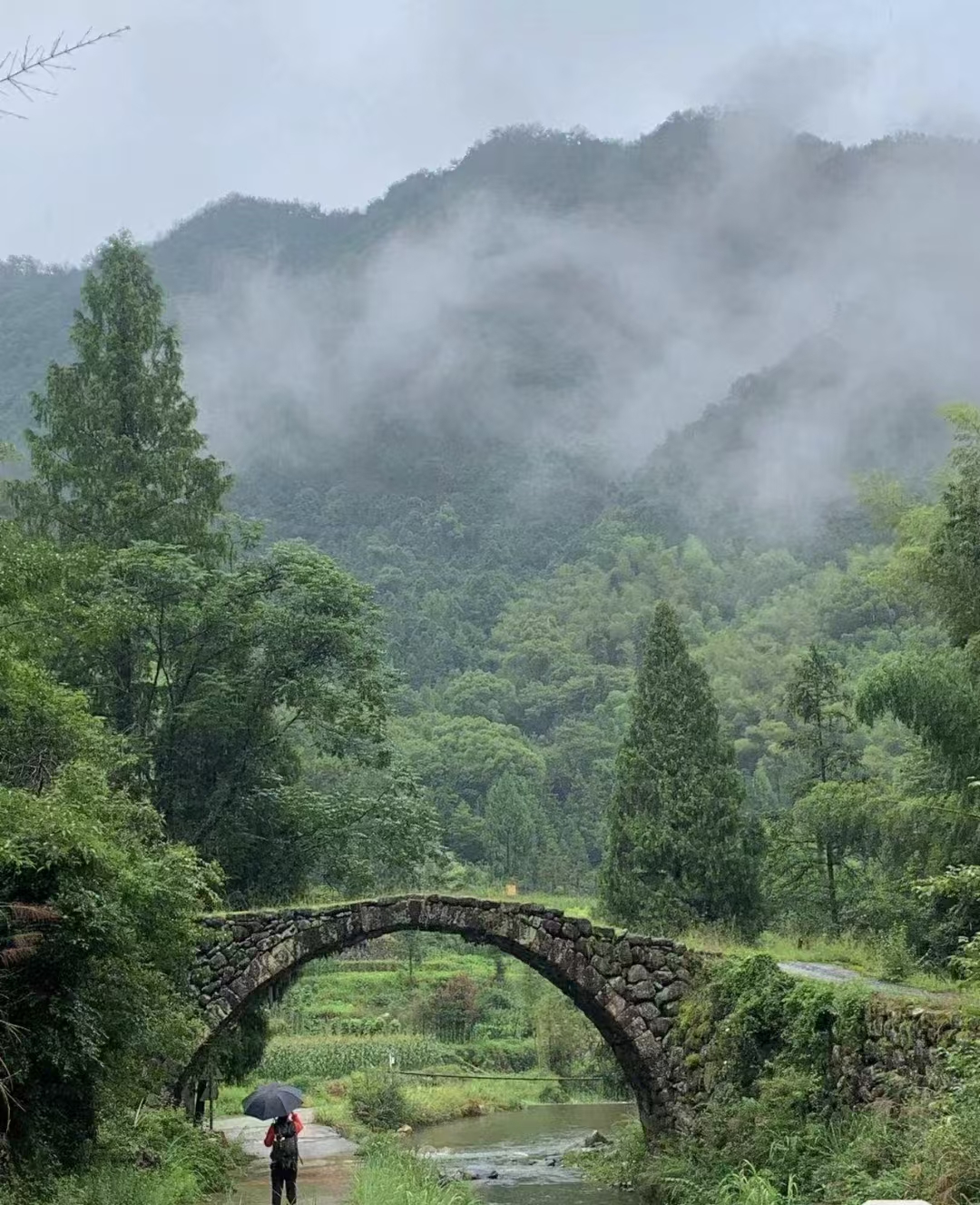 丽水仙都