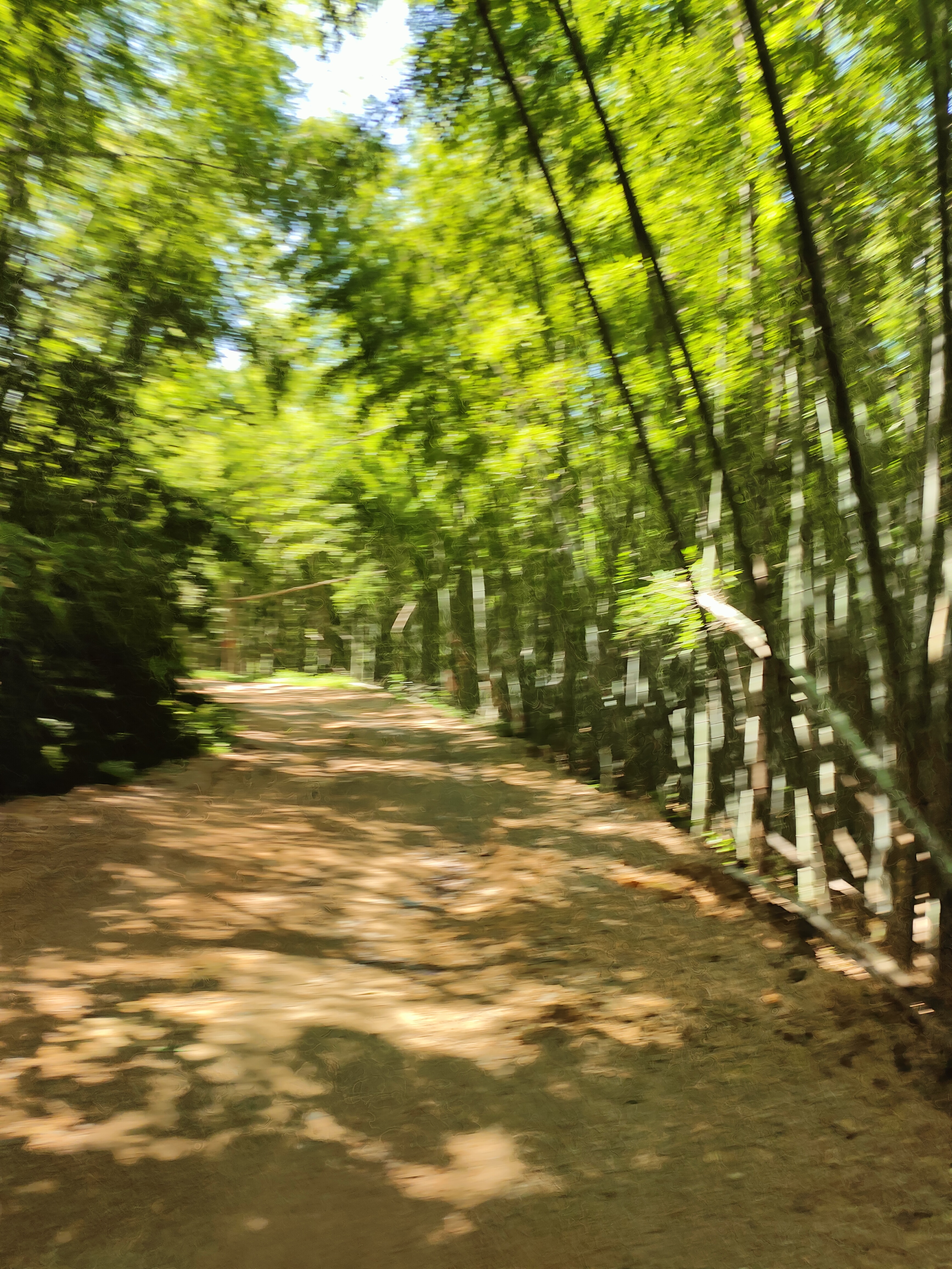 2024.9.4 烟火韩岭(十八)