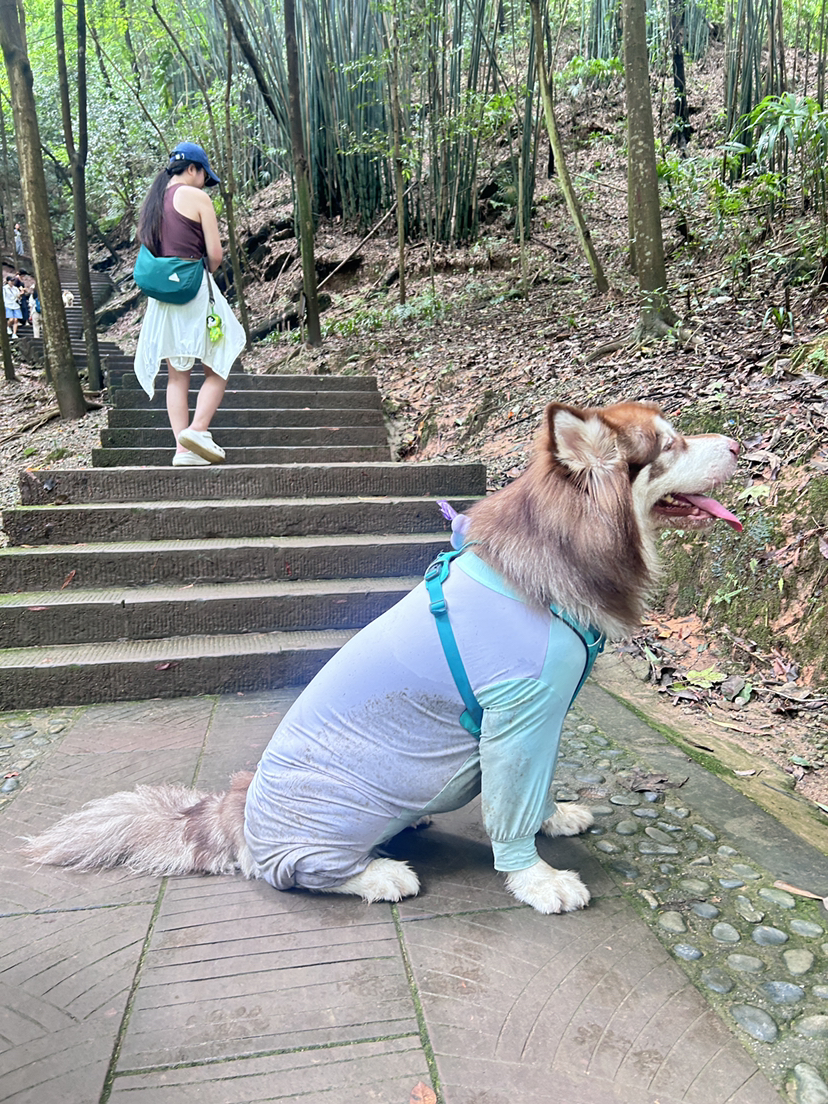 随记