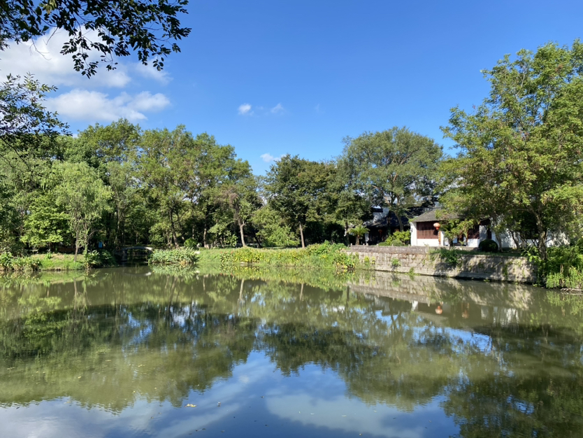 西溪湿地0908