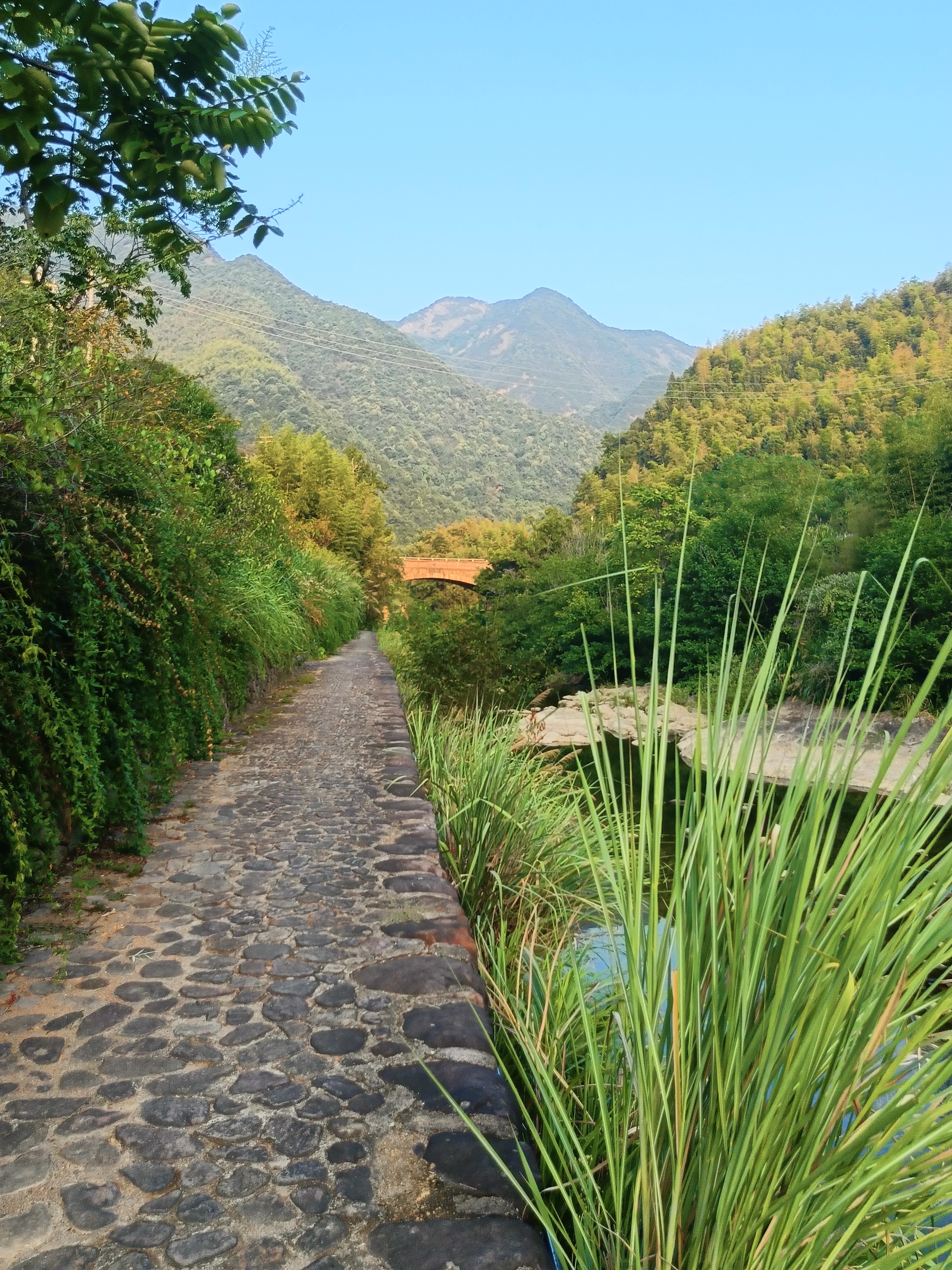 马岭古道