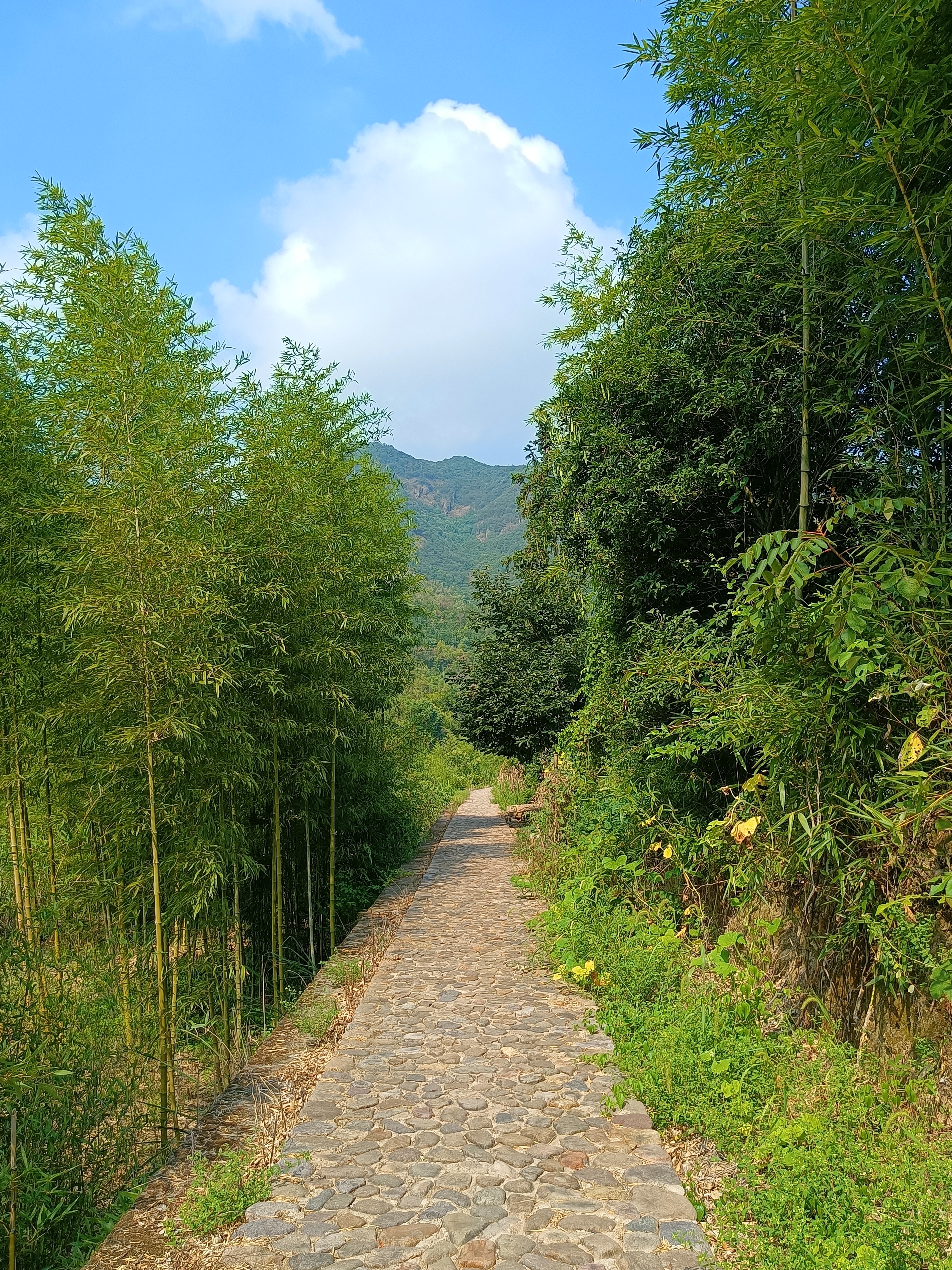 马岭古道
