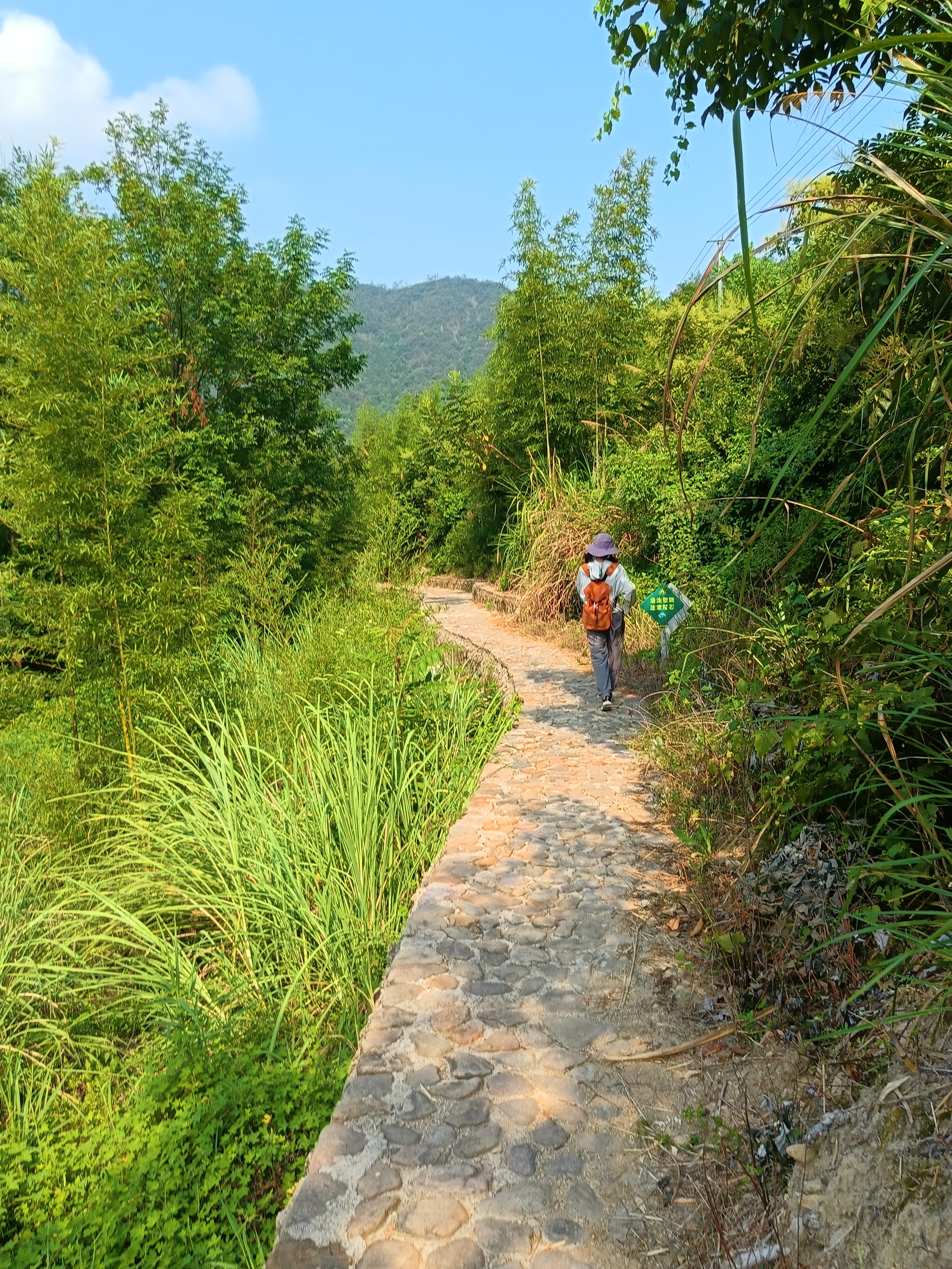 马岭古道