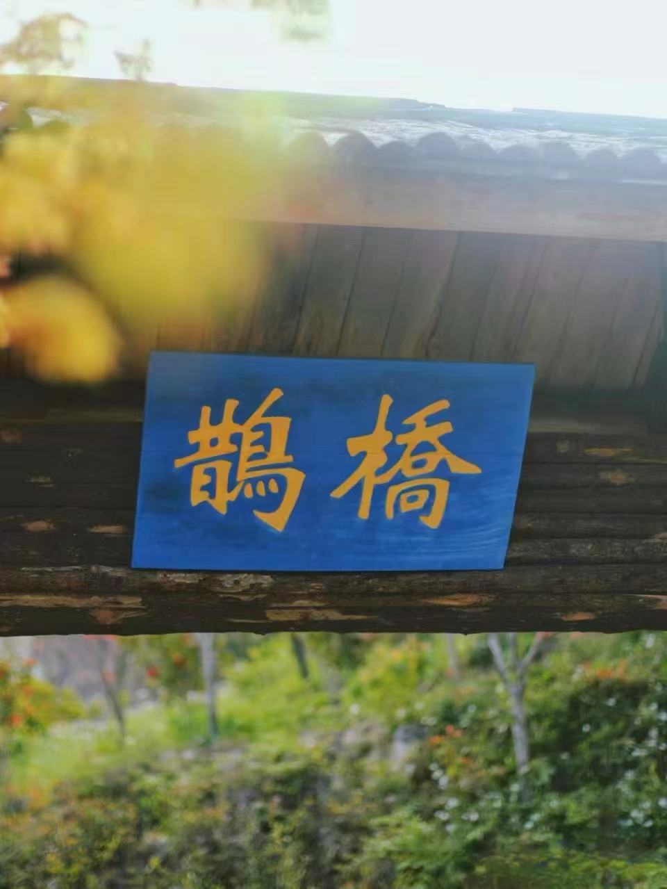 桃花源游玩