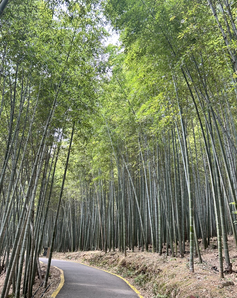 碧岩古道