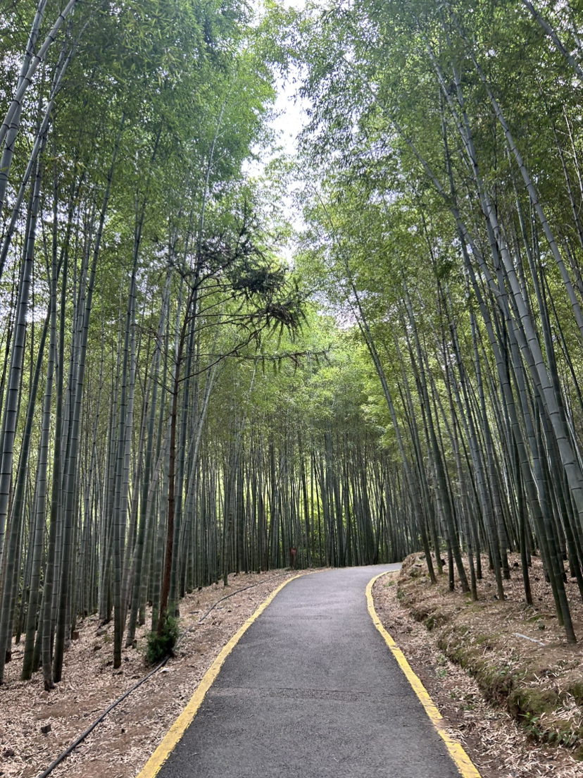 碧岩古道