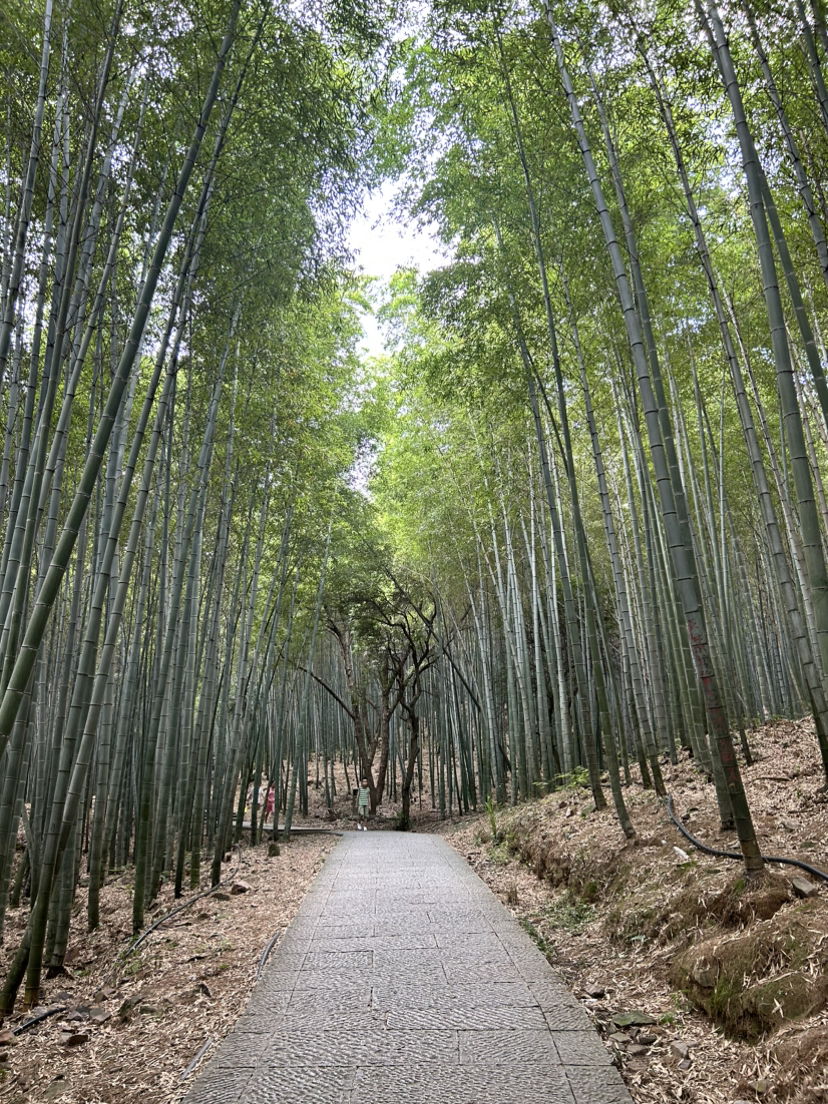 碧岩古道