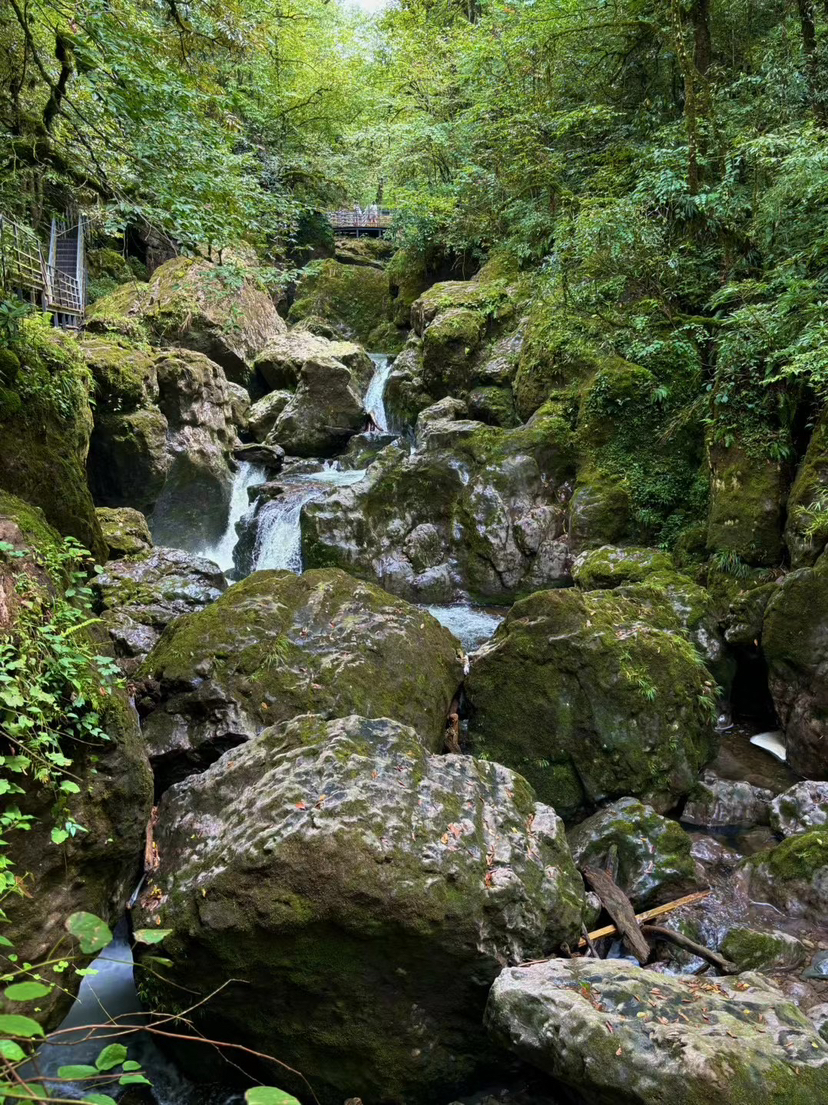 龙苍沟
