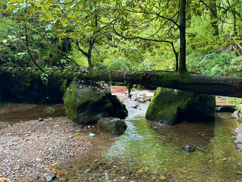 龙苍沟