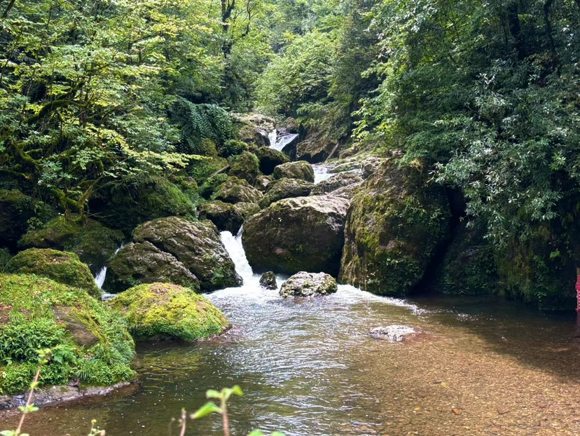 龙苍沟