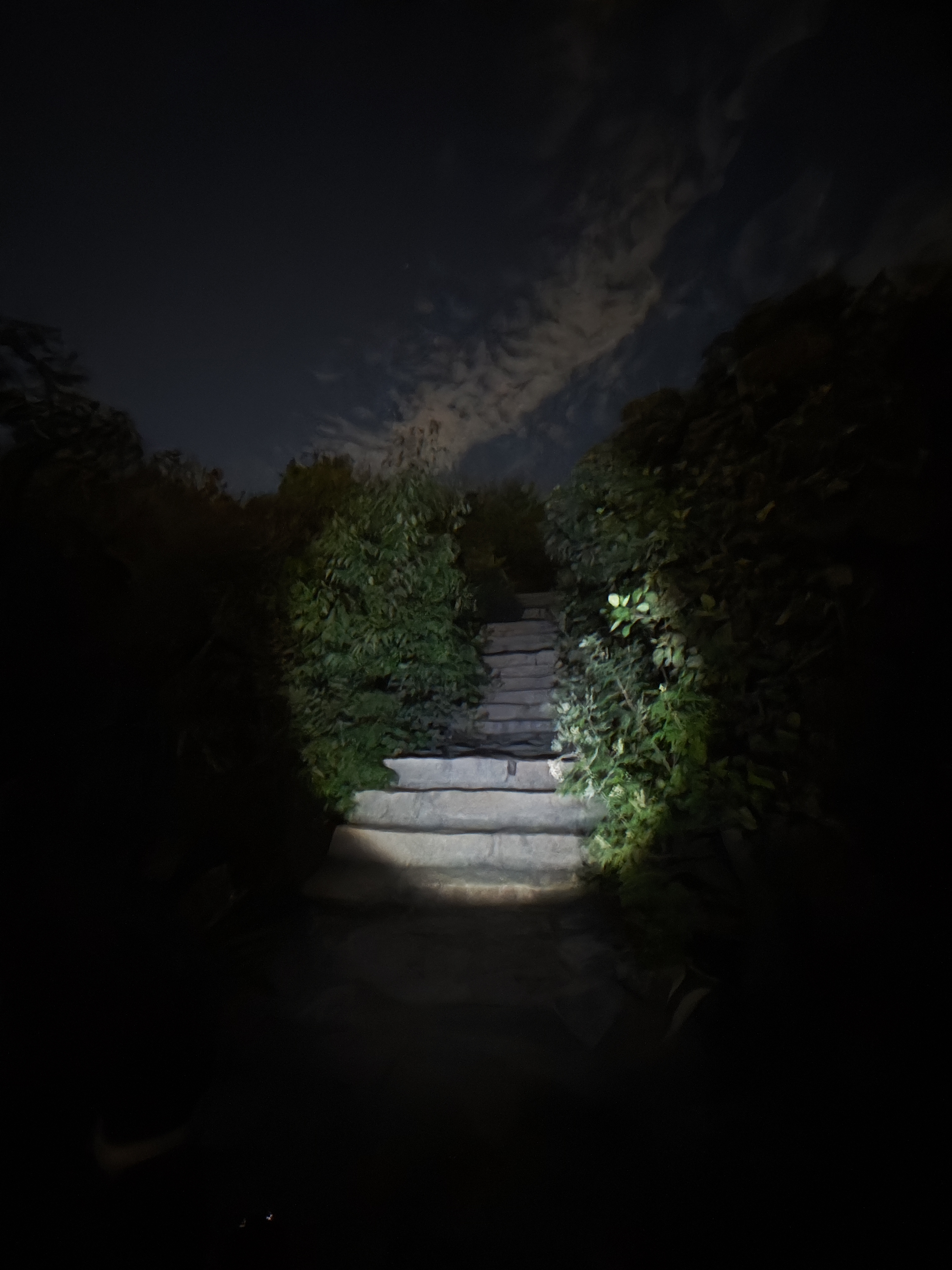 夜爬鬼笑石