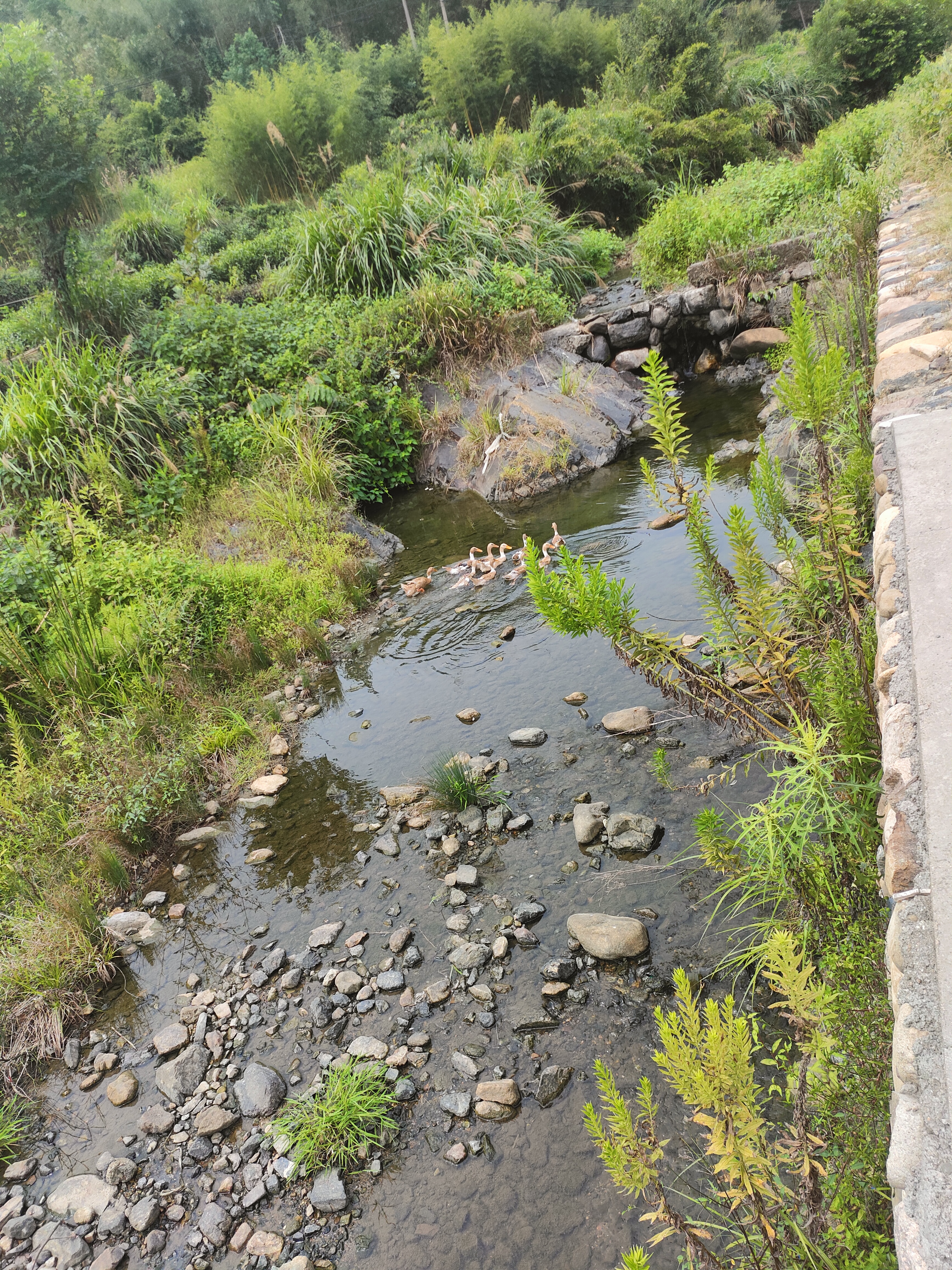 2024.9.10 章里古道(四)