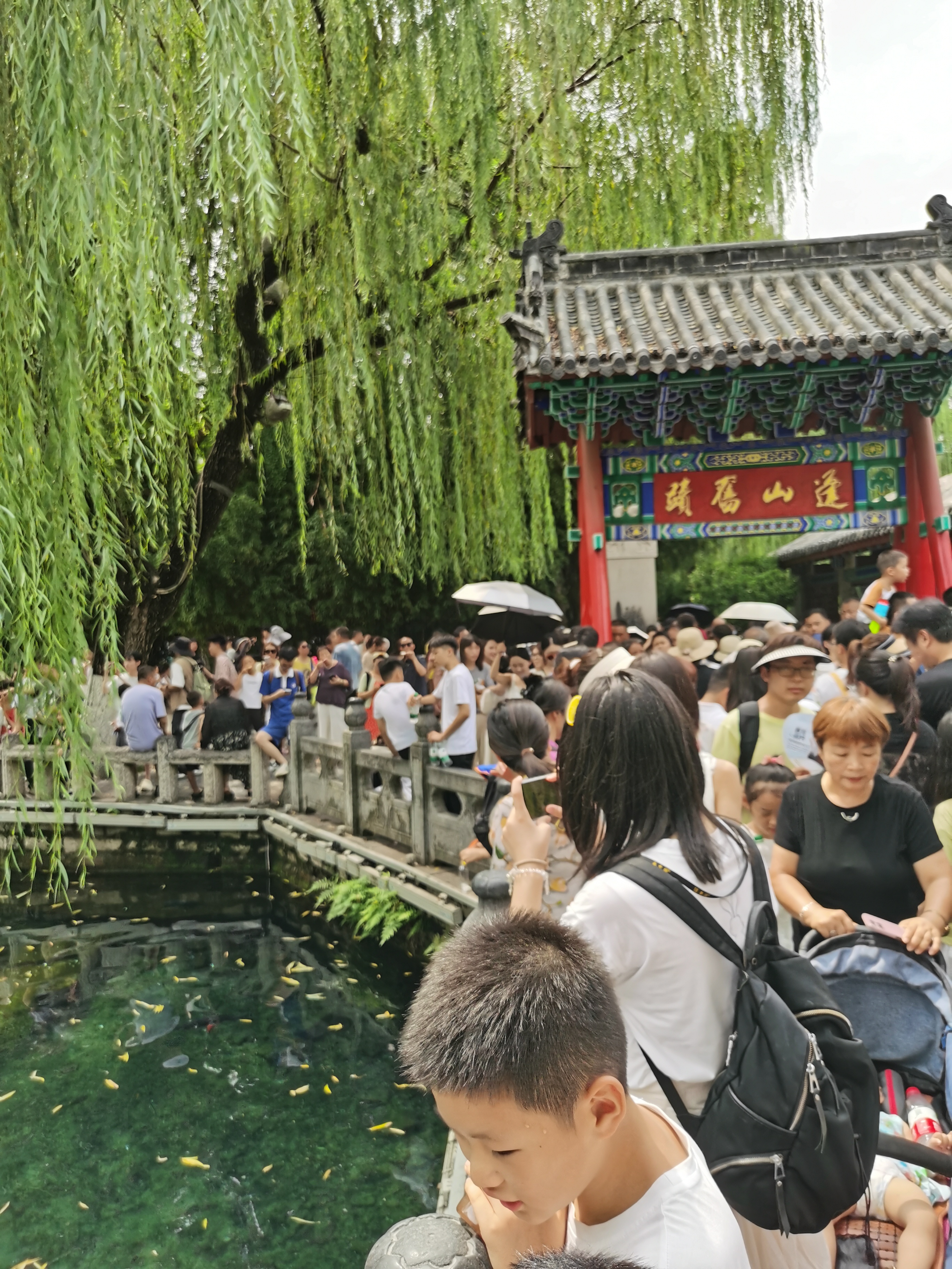 趵突泉