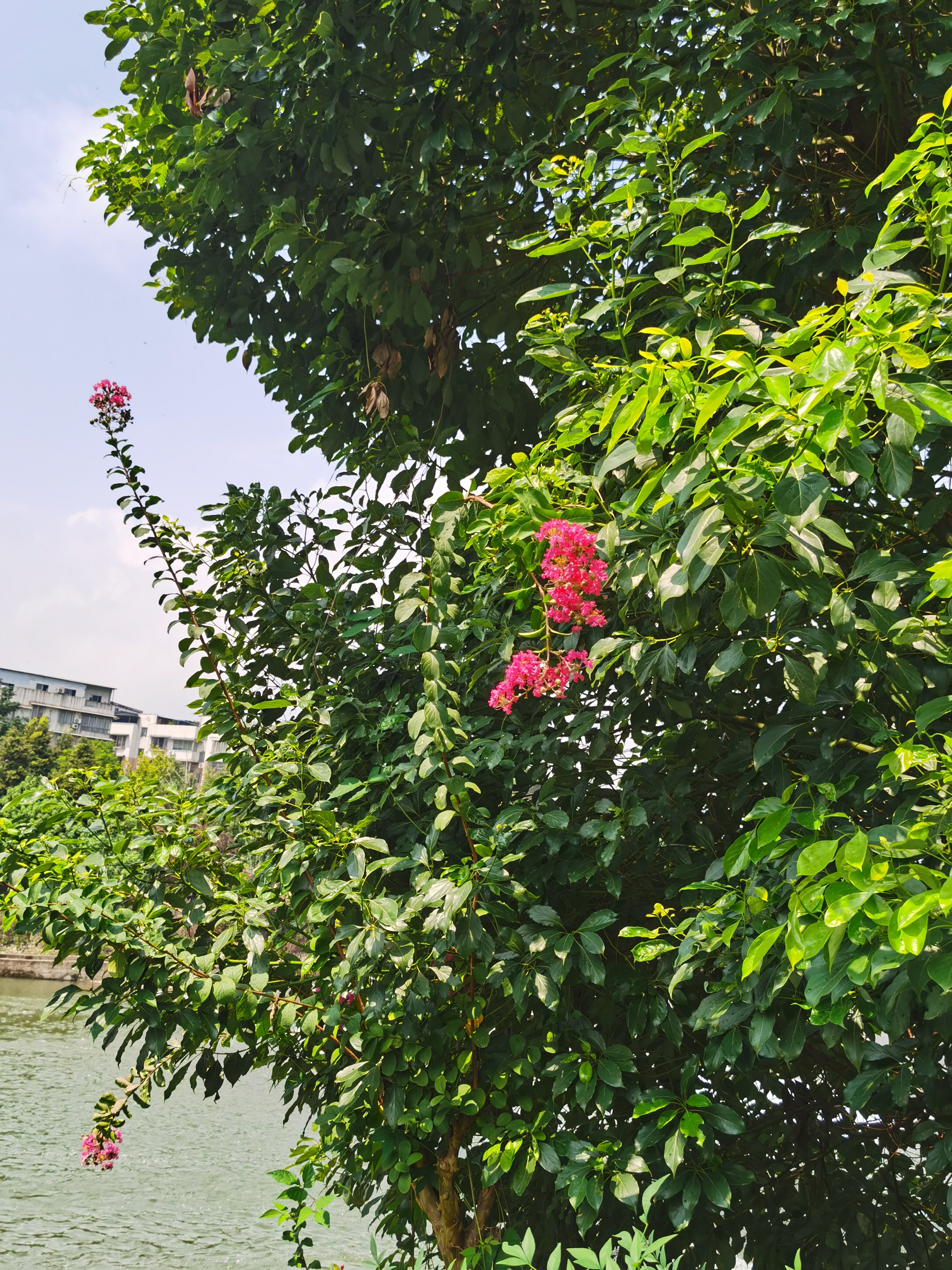 雨后天晴