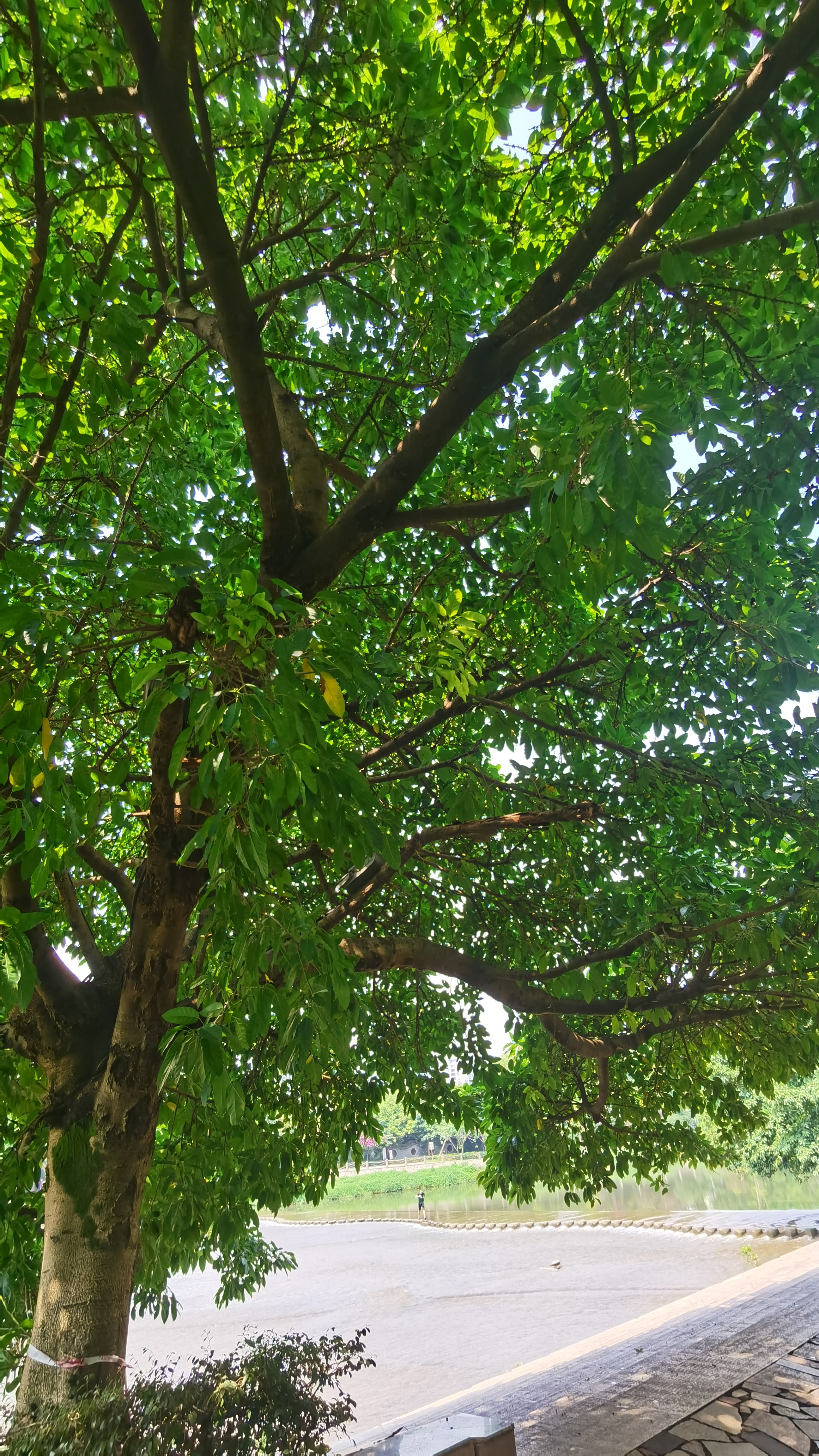 雨后天晴