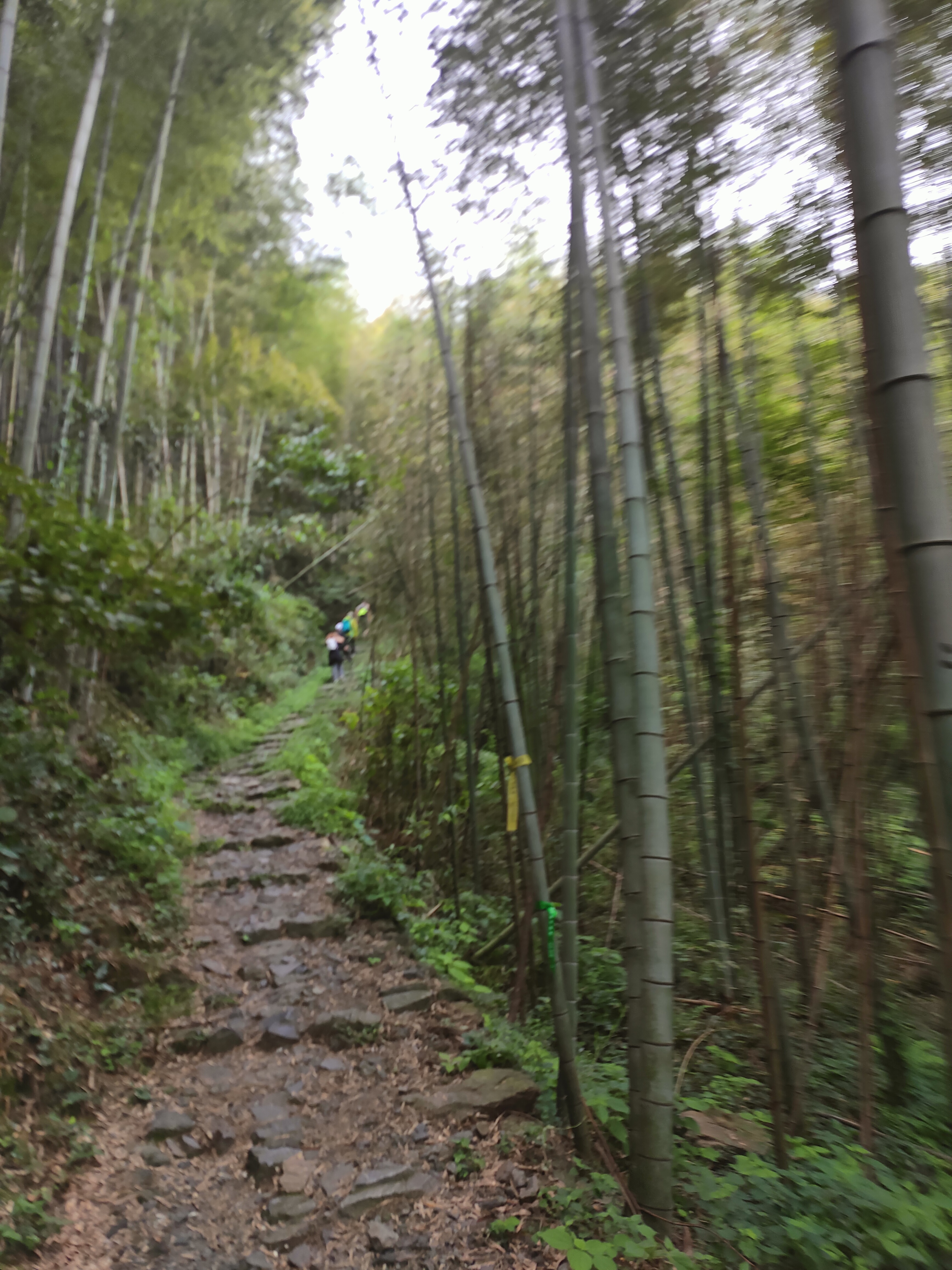 2024.9.10 章里古道(五)