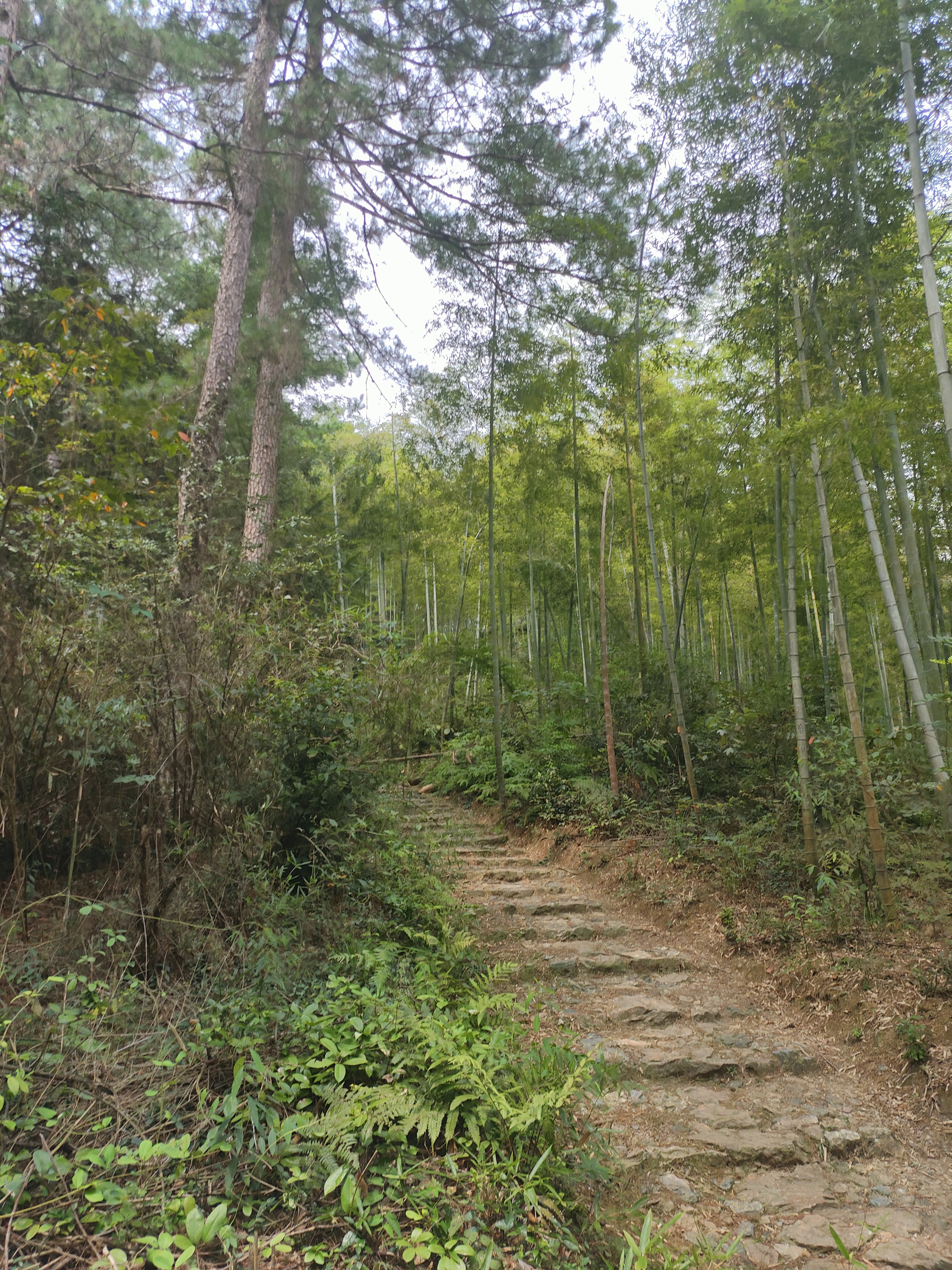 2024.9.10 章里古道(五)